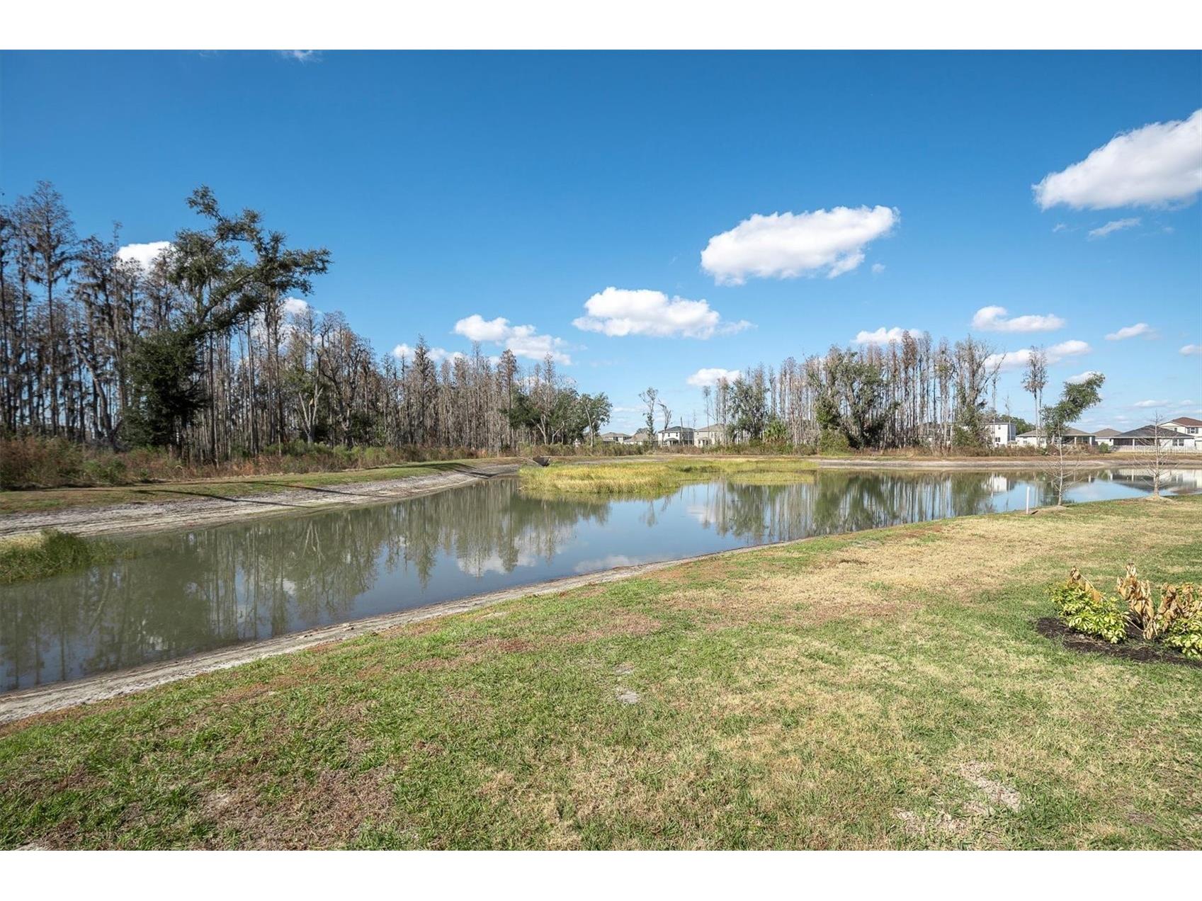 37557 Mackenzie Drive Zephyrhills FL 33540 W7882460 image31