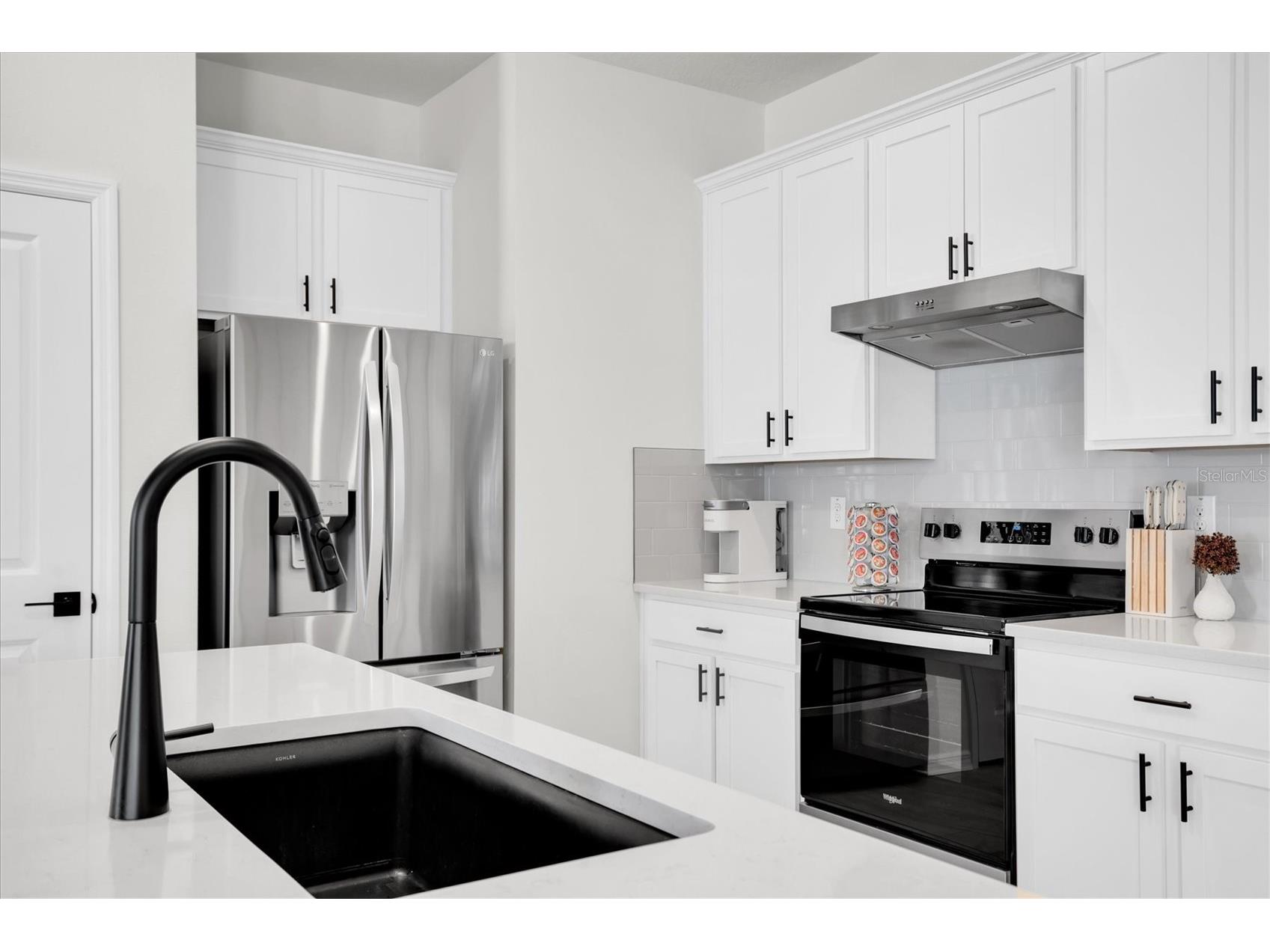 37557 Mackenzie Drive Zephyrhills FL 33540 W7882460 image9