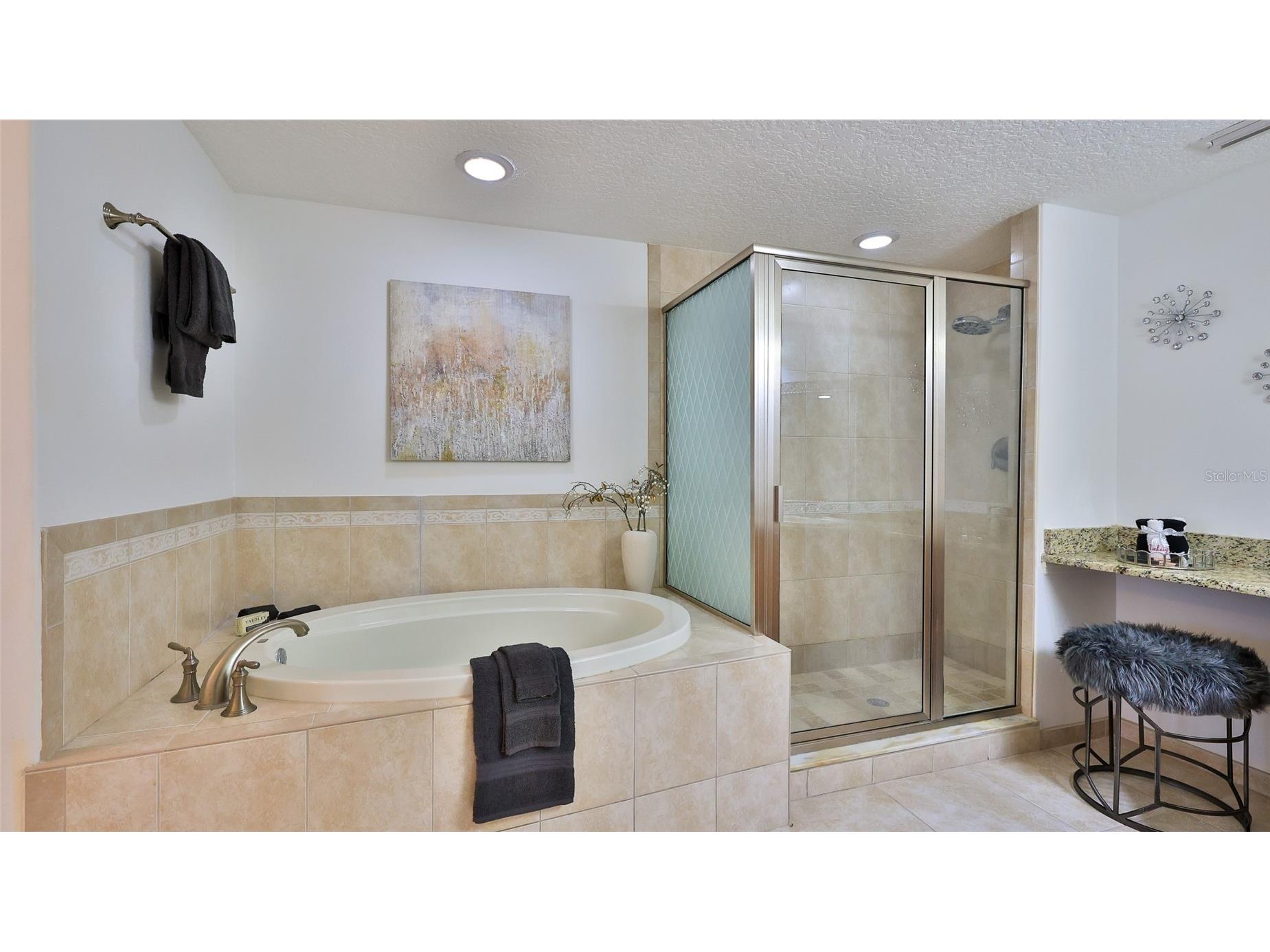 3756 S Atlantic Avenue #201 Daytona Beach FL 32118 V4948728 image19