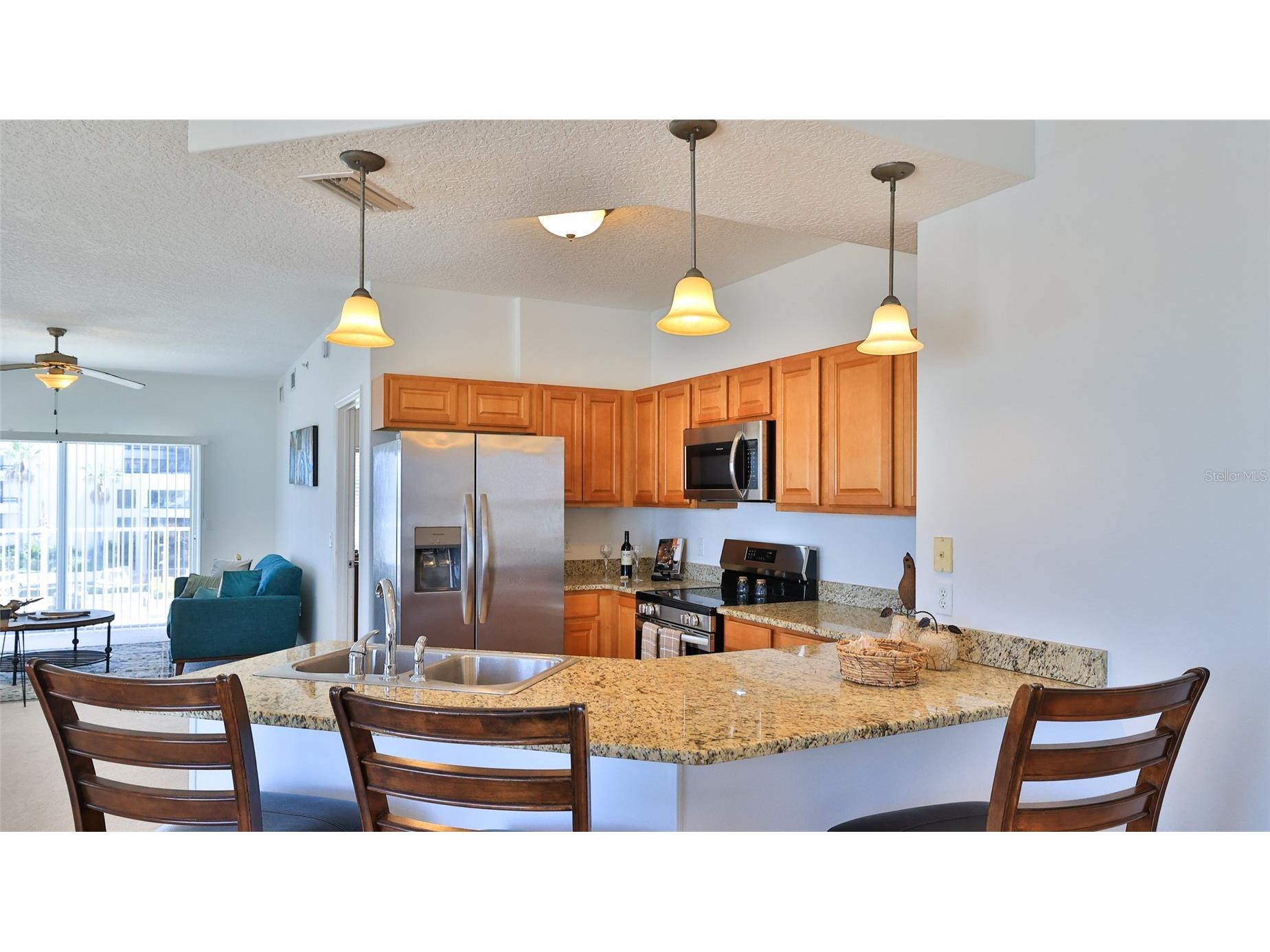 3756 S Atlantic Avenue #201 Daytona Beach FL 32118 V4948728 image5
