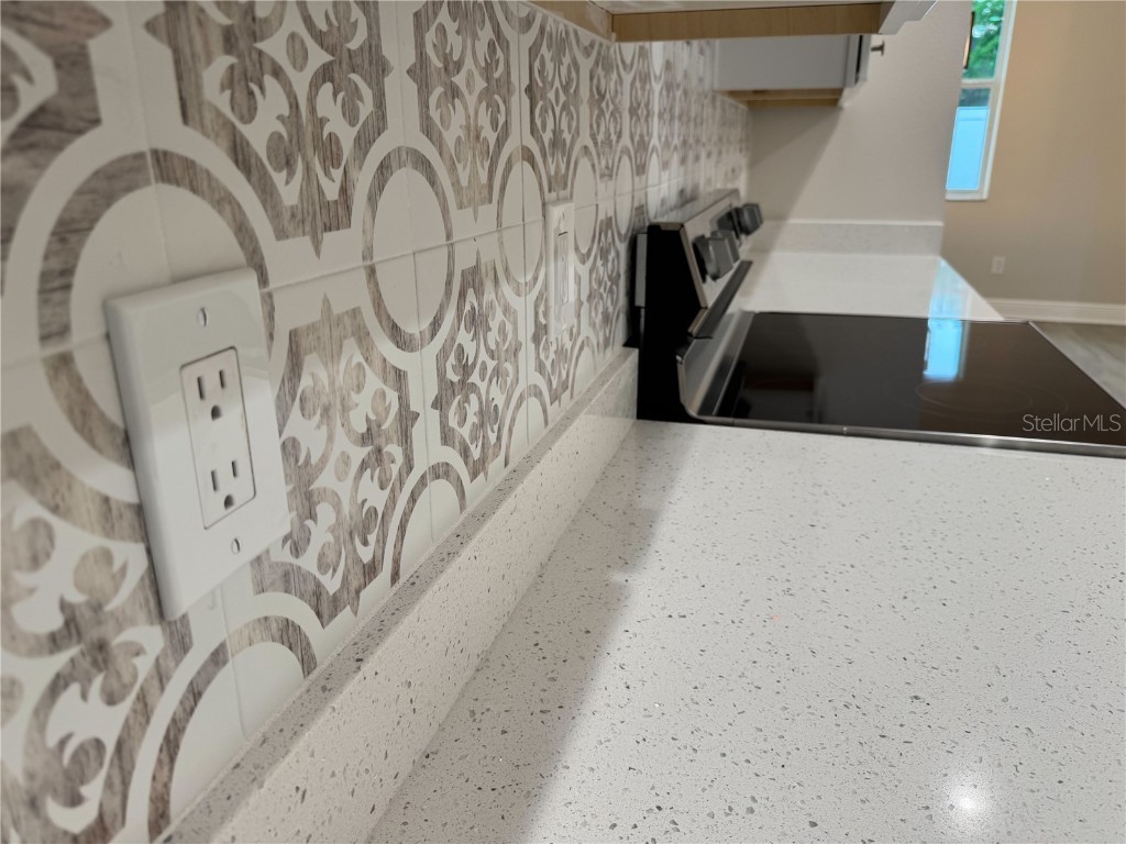 37565 Teri Court Dade City FL 33525 TB8376252 image28