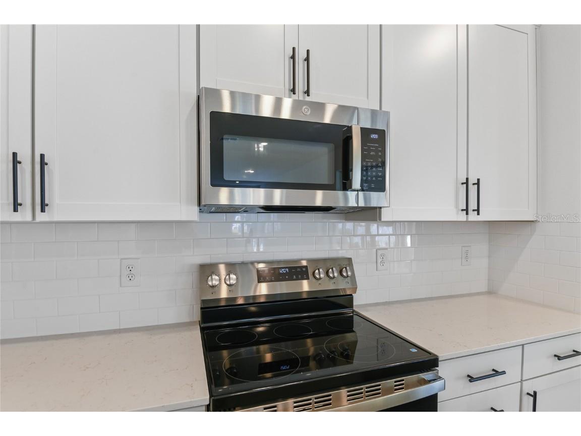 3757 Deer Ridge Drive Mount Dora FL 32757 S5121354 image4