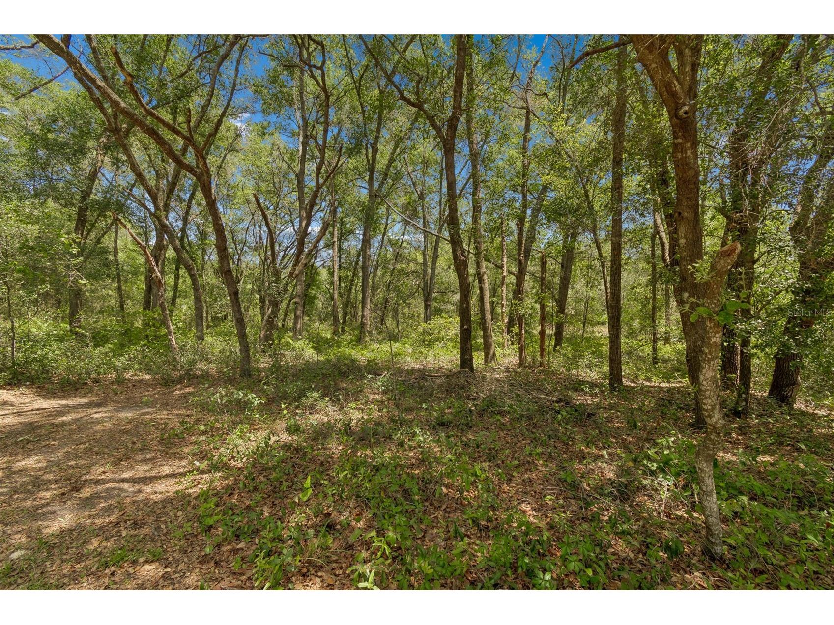 3757 E Side Court Inverness FL 34453 TB8504221 image33