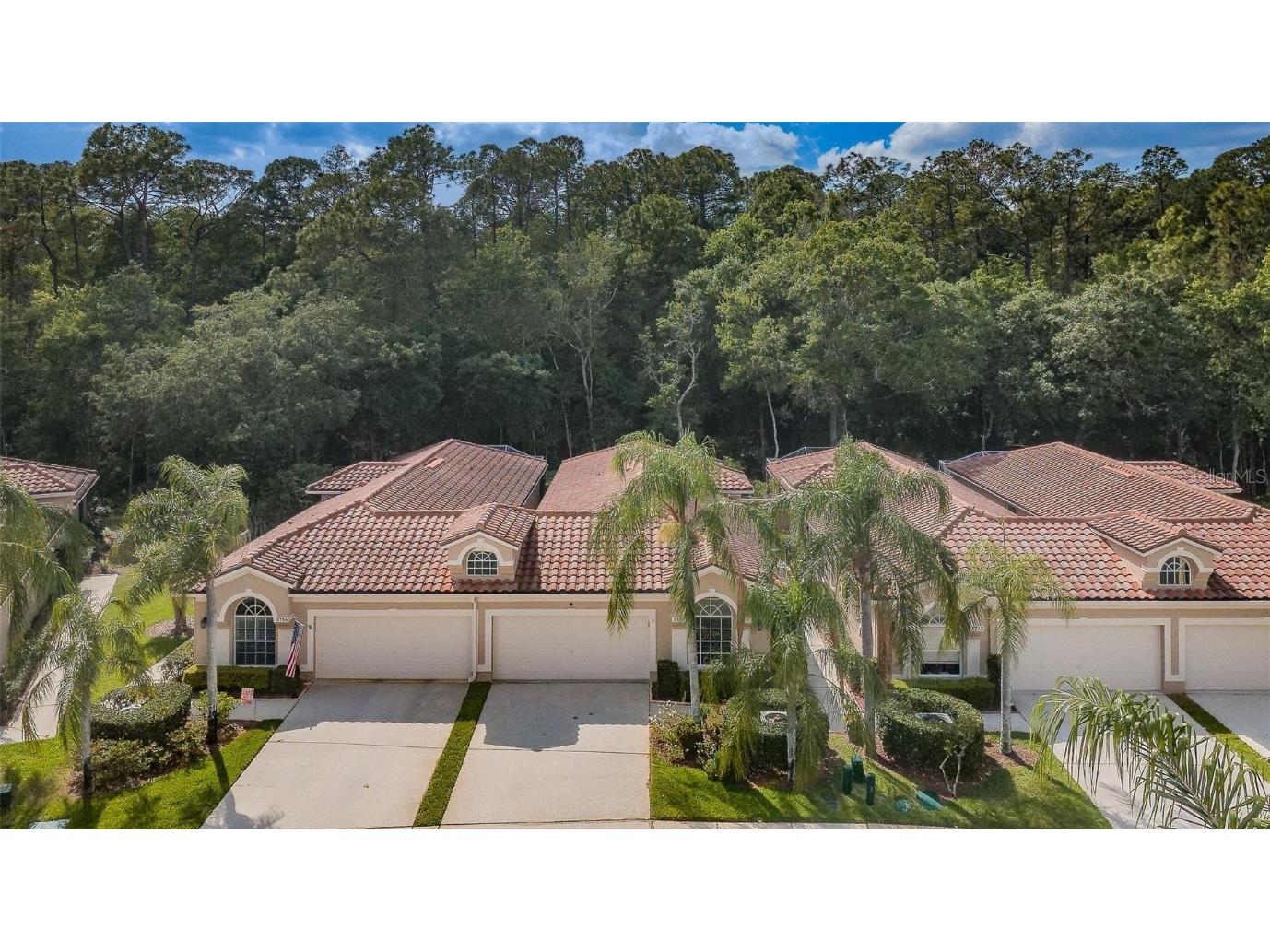 3758 Darston Street Palm Harbor FL 34685 U8192134 image1