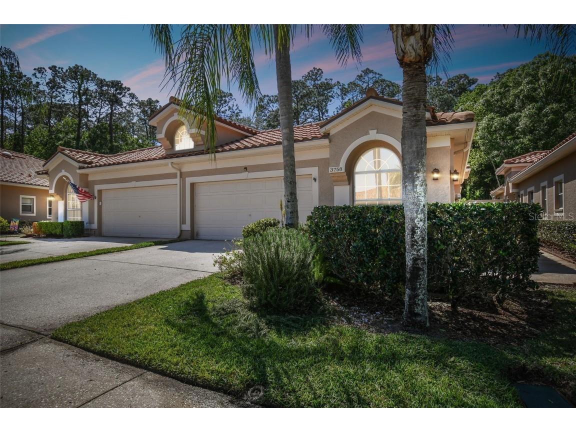 3758 Darston Street Palm Harbor FL 34685 U8235702 image1