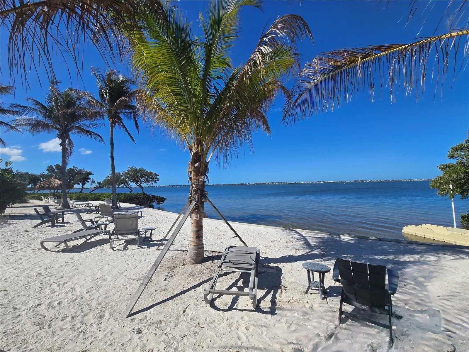 376 Aruba Circle #203 Bradenton FL 34209 A4684257 image71