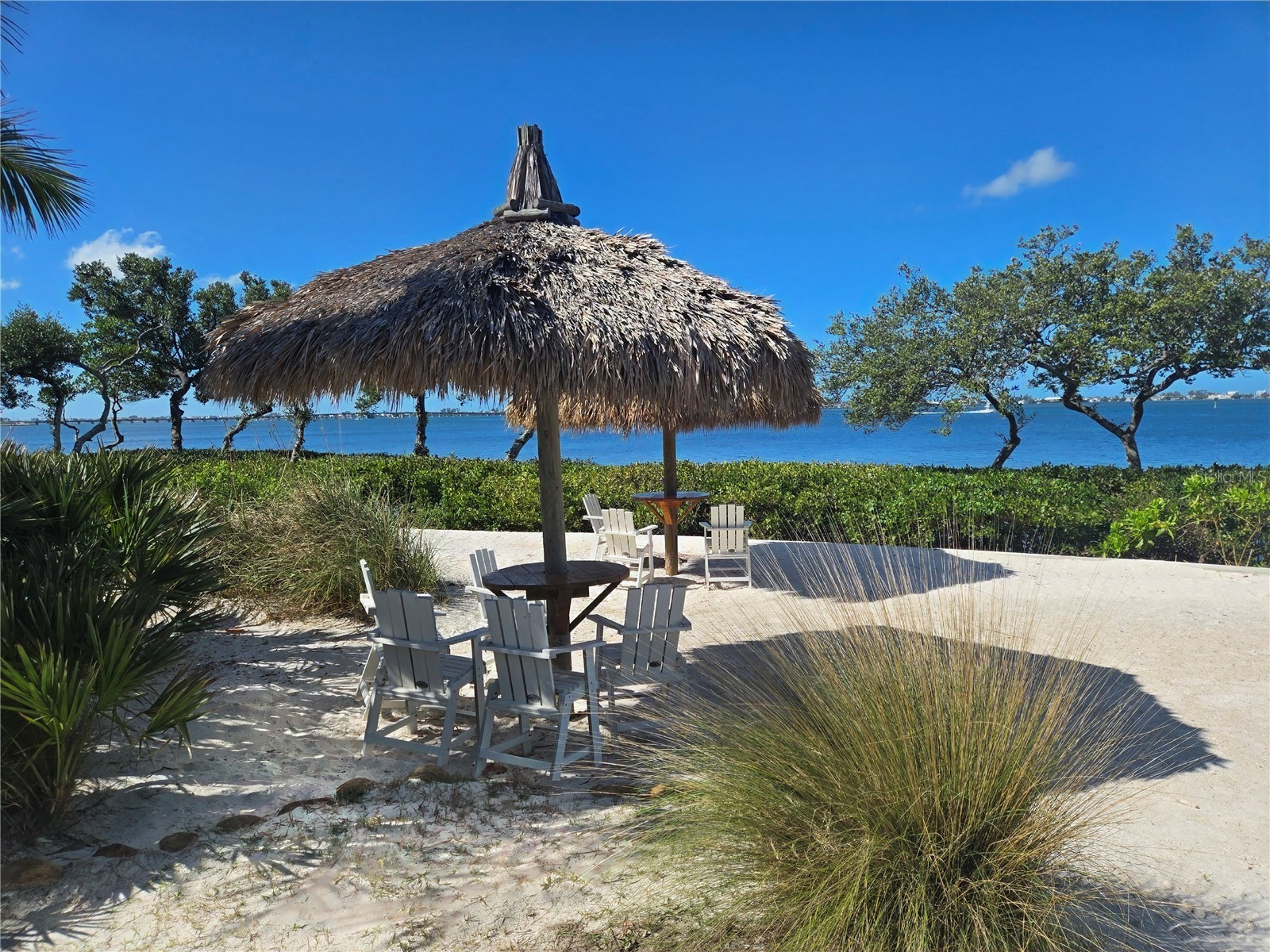 376 Aruba Circle #203 Bradenton FL 34209 A4684257 image74