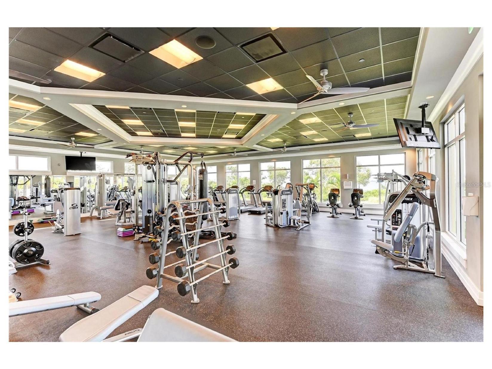 376 Aruba Circle #203 Bradenton FL 34209 A4684257 image83