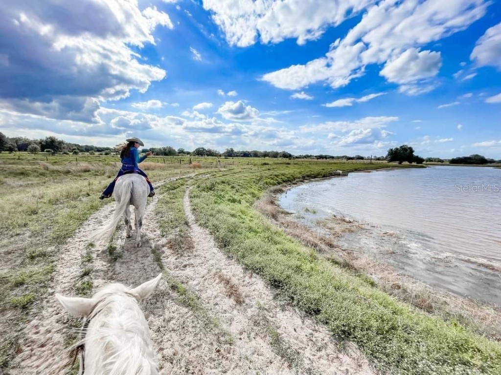 376 Bear Trail River Ranch FL 33867 TB8380526 image23