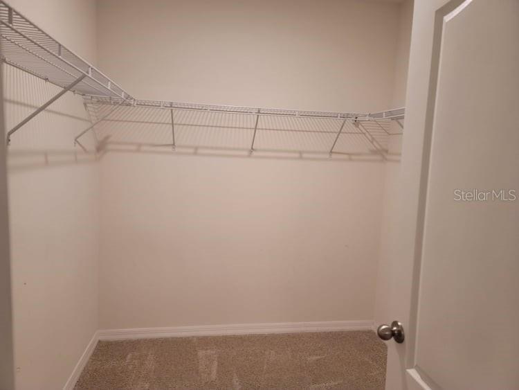 376 Tanglewood Drive Davenport FL 33896 S5148138 image23
