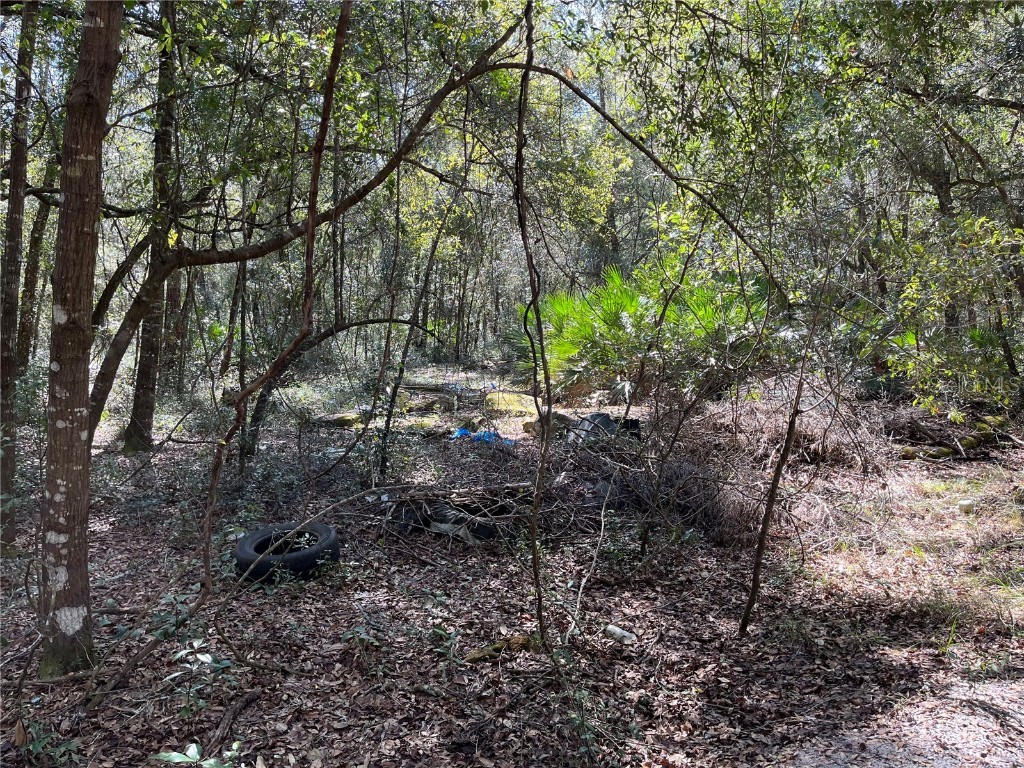 3760 E Peggy Street Hernando FL 34442 OK222461 image1