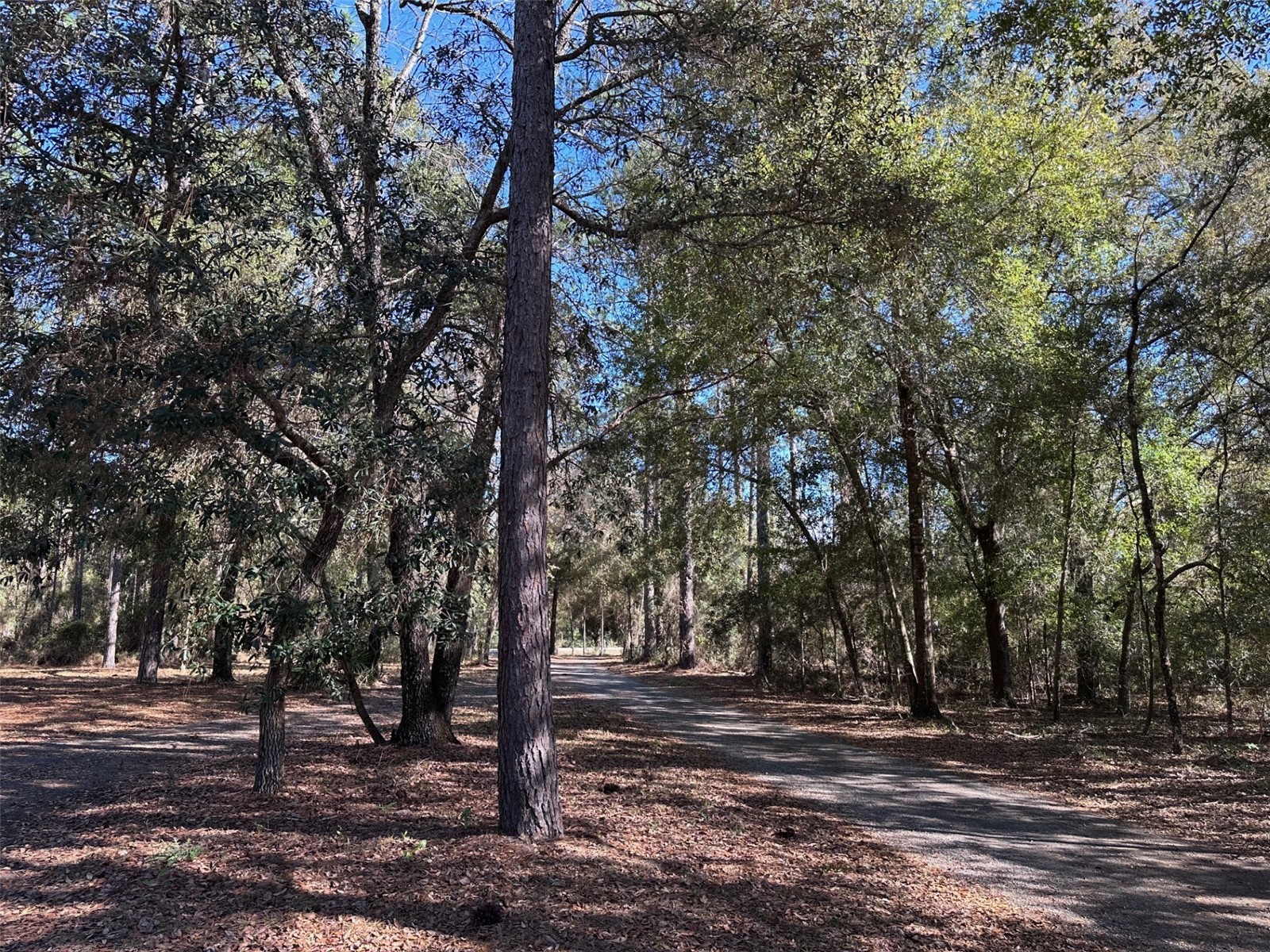 3760 SE County Road 337 Morriston FL 32668 GC536786 image23