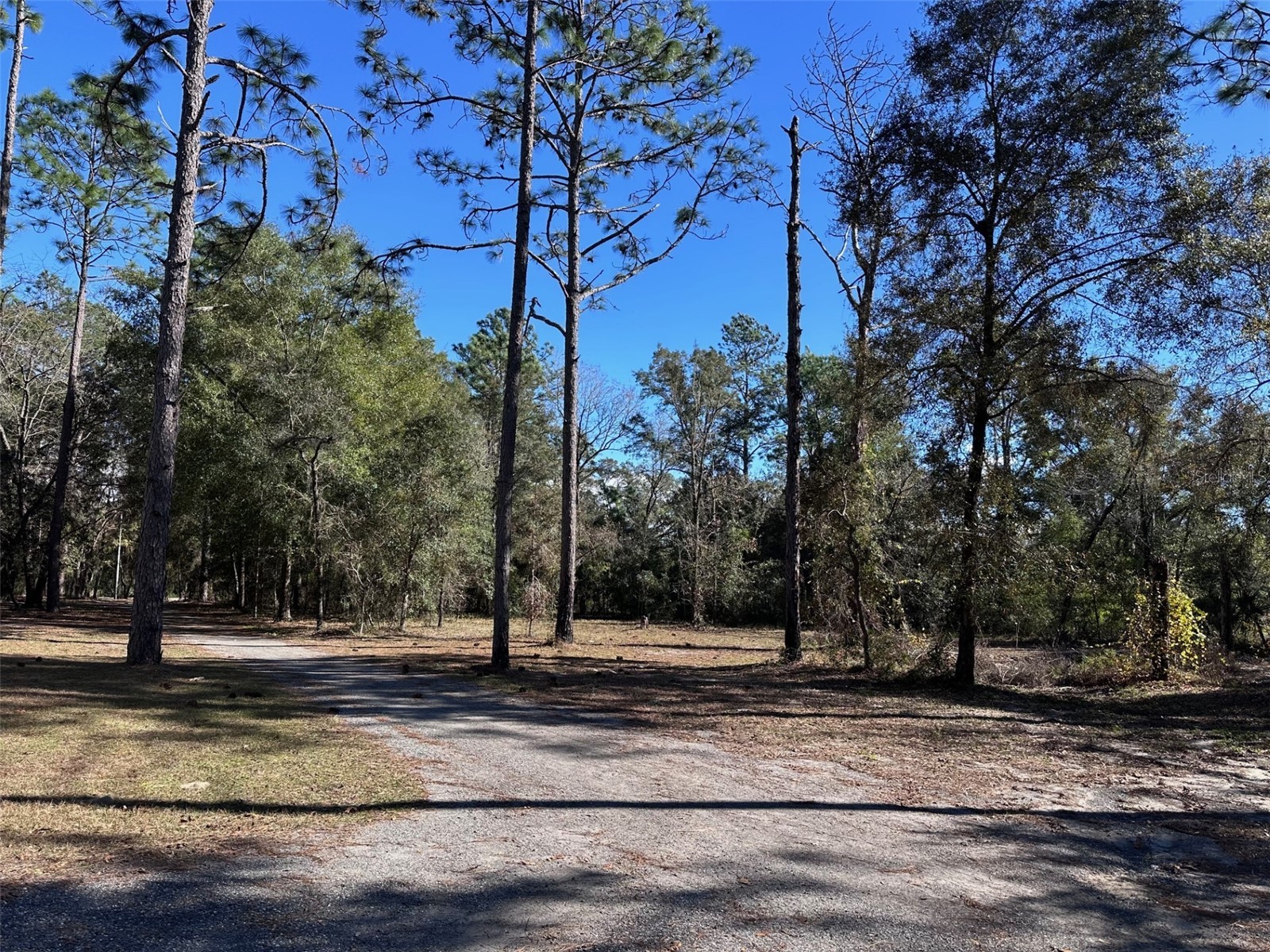 3760 SE County Road 337 Morriston FL 32668 GC536786 image24