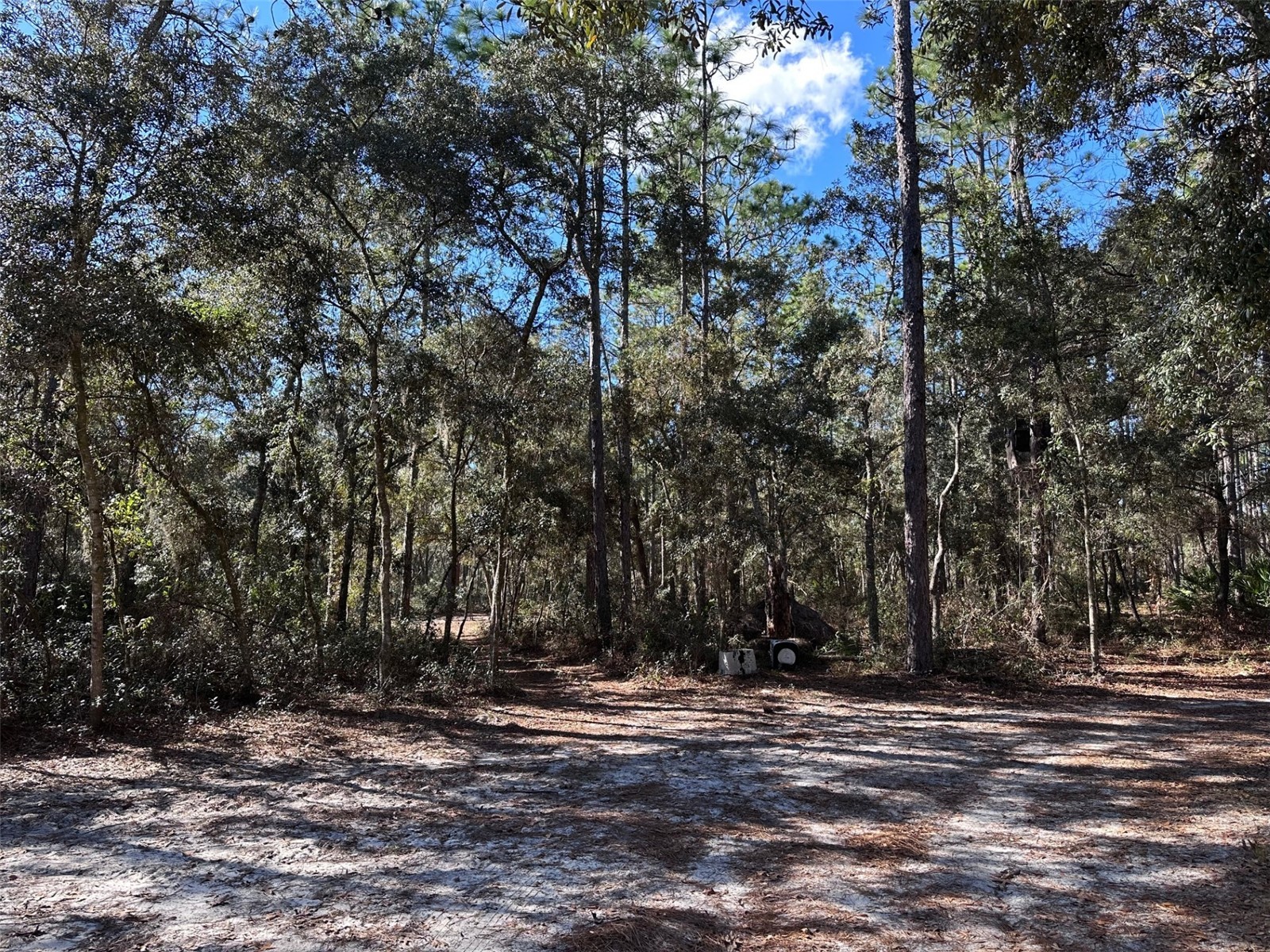 3760 SE County Road 337 Morriston FL 32668 GC536786 image25