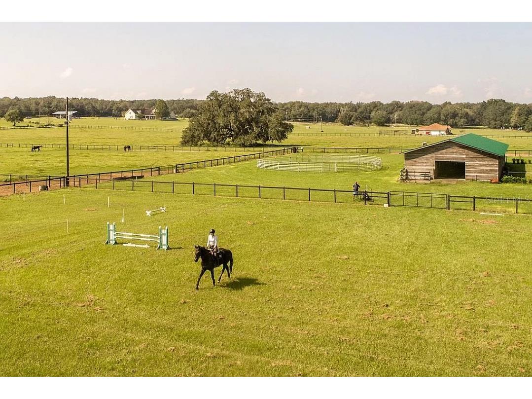 37600 Largo Lane Dade City FL 33523 O6186155 image17