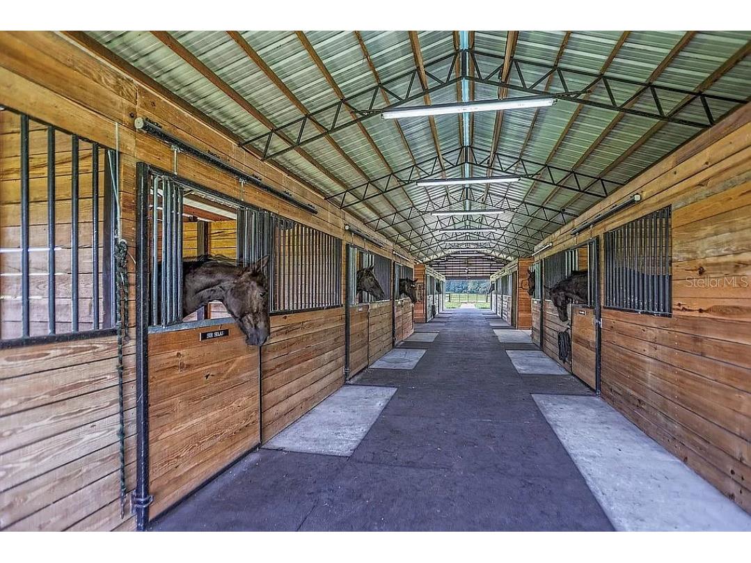 37600 Largo Lane Dade City FL 33523 O6186155 image4