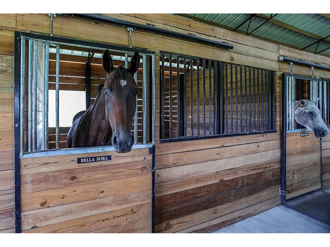 37600 Largo Lane Dade City FL 33523 O6186155 image5