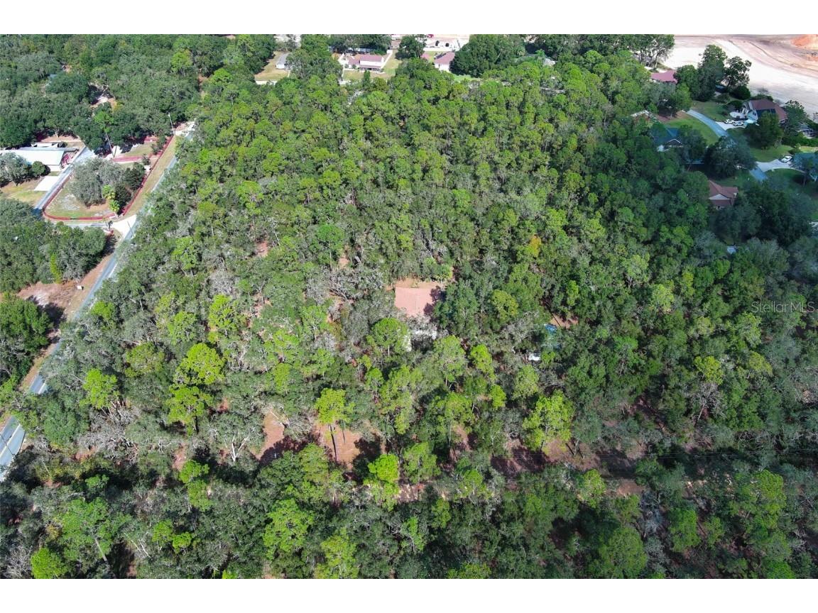 37600 Rolling Acres Road Lady Lake FL 32159 O6364705 image31