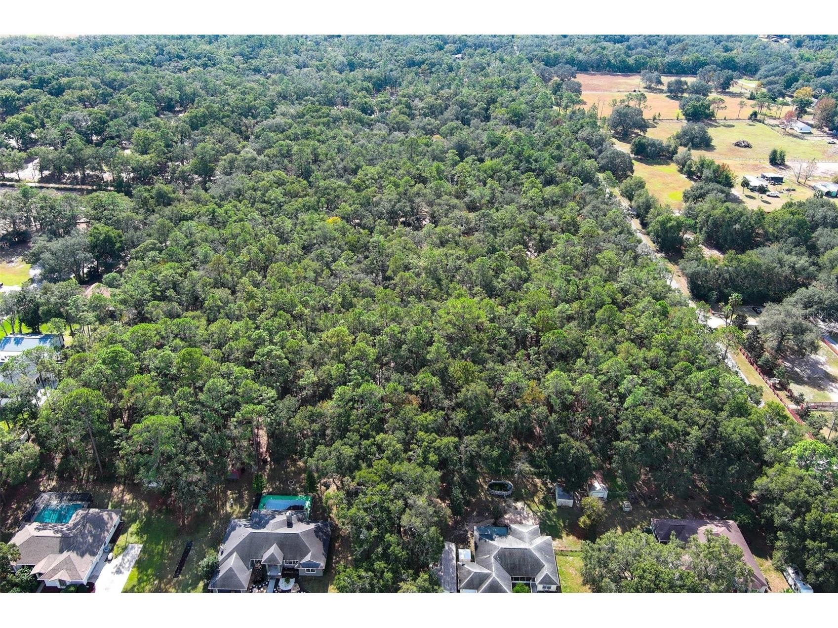 37600 Rolling Acres Road Lady Lake FL 32159 O6364705 image38