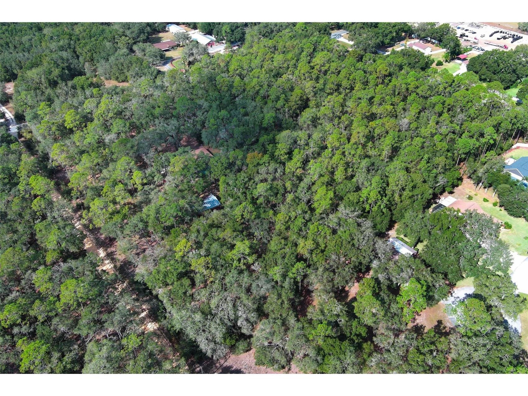 37600 Rolling Acres Road Lady Lake FL 32159 O6364705 image43
