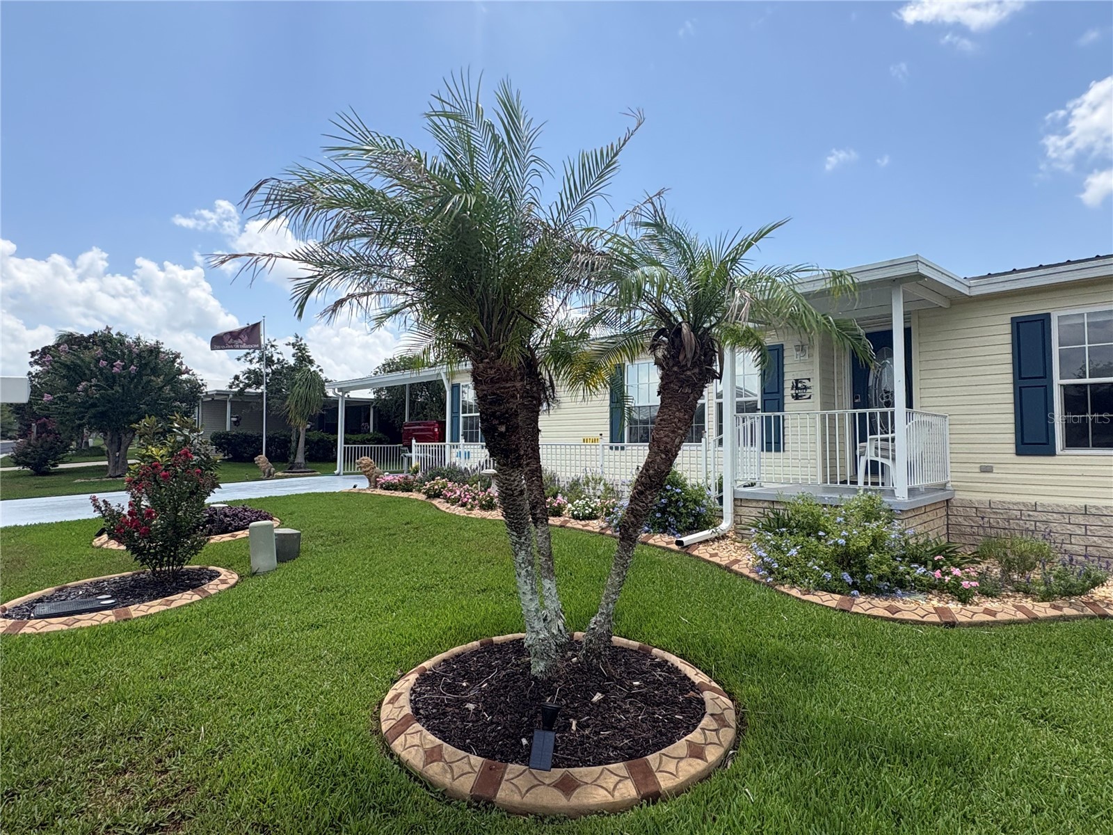 37602 Lilly Bea Avenue Zephyrhills FL 33541 TB8530246 image50