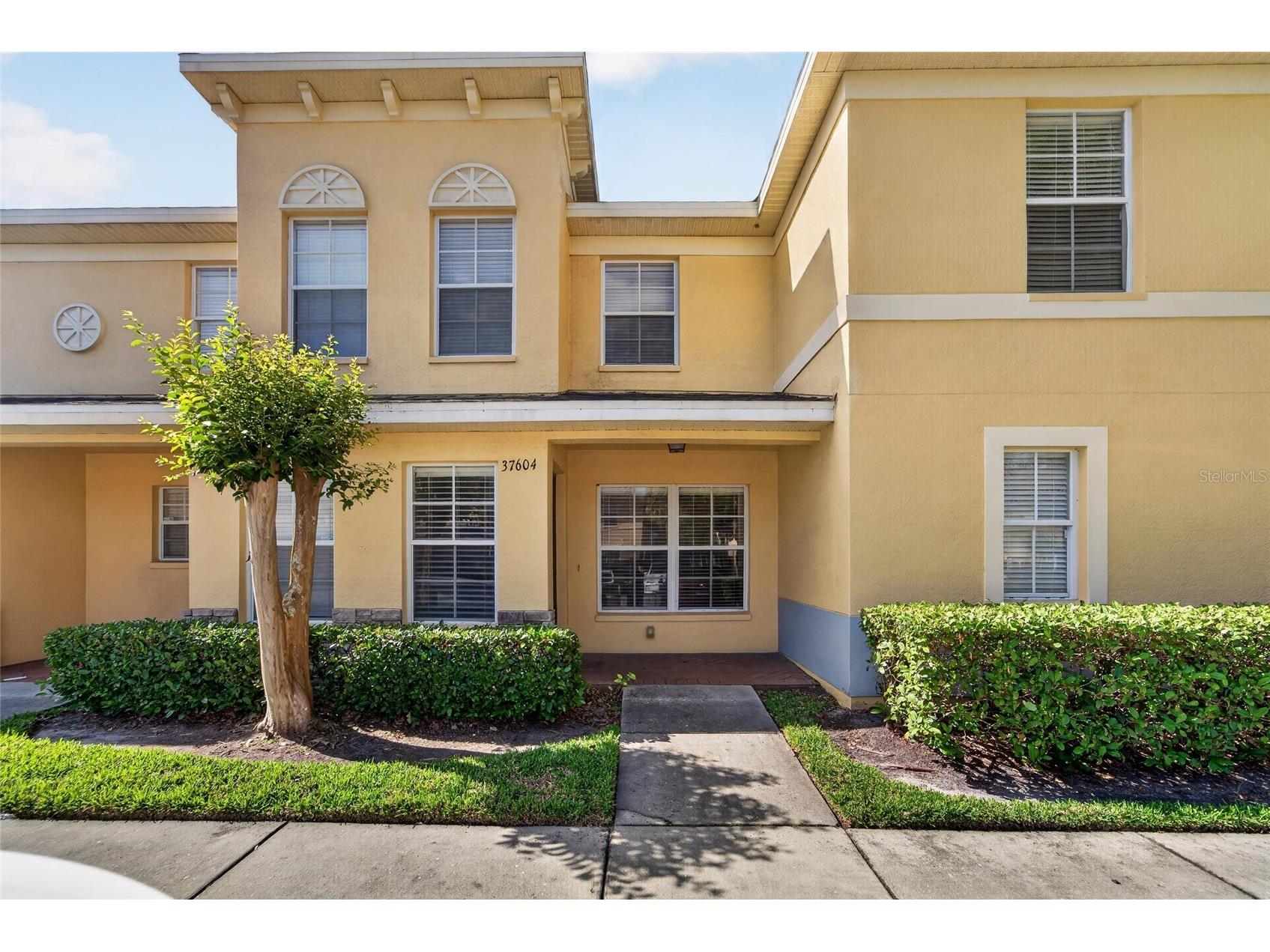 37604 Aaralyn Road Zephyrhills FL 33542 TB8498041 image1