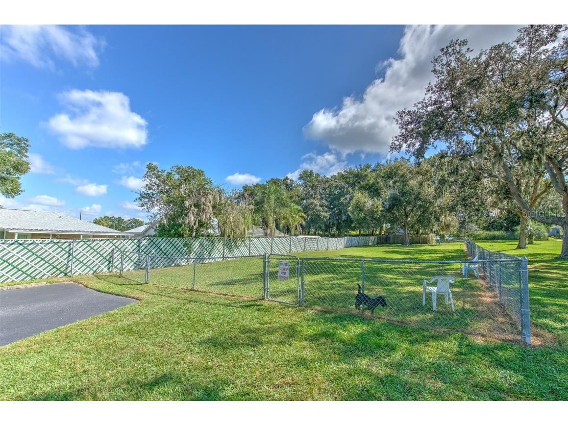 37605 Amigo Drive Zephyrhills FL 33541 TB8432040 image34