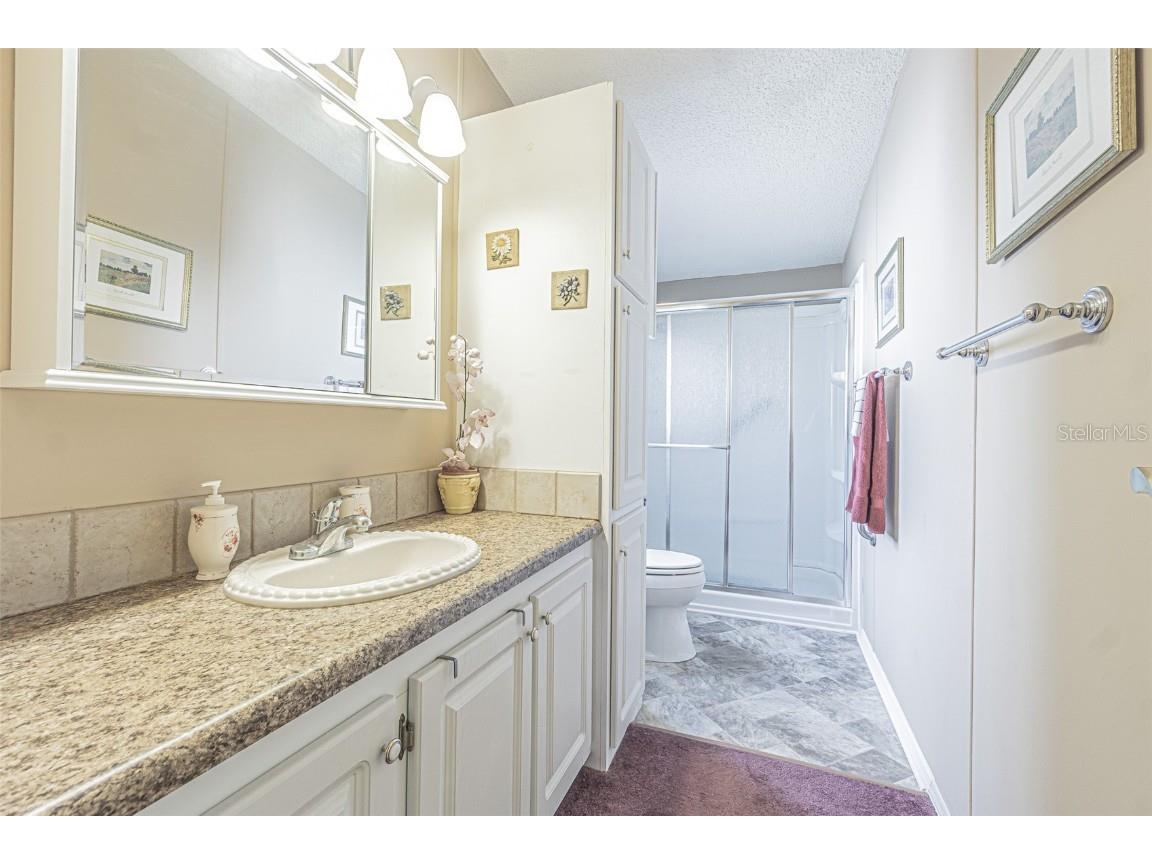 37607 Neukom Avenue Zephyrhills FL 33541 T3521400 image19