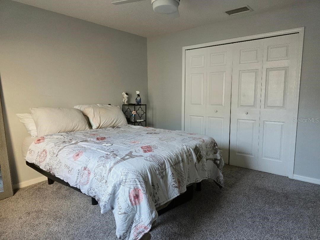 37613 Aaralyn Road Zephyrhills FL 33542 TB8505130 image10