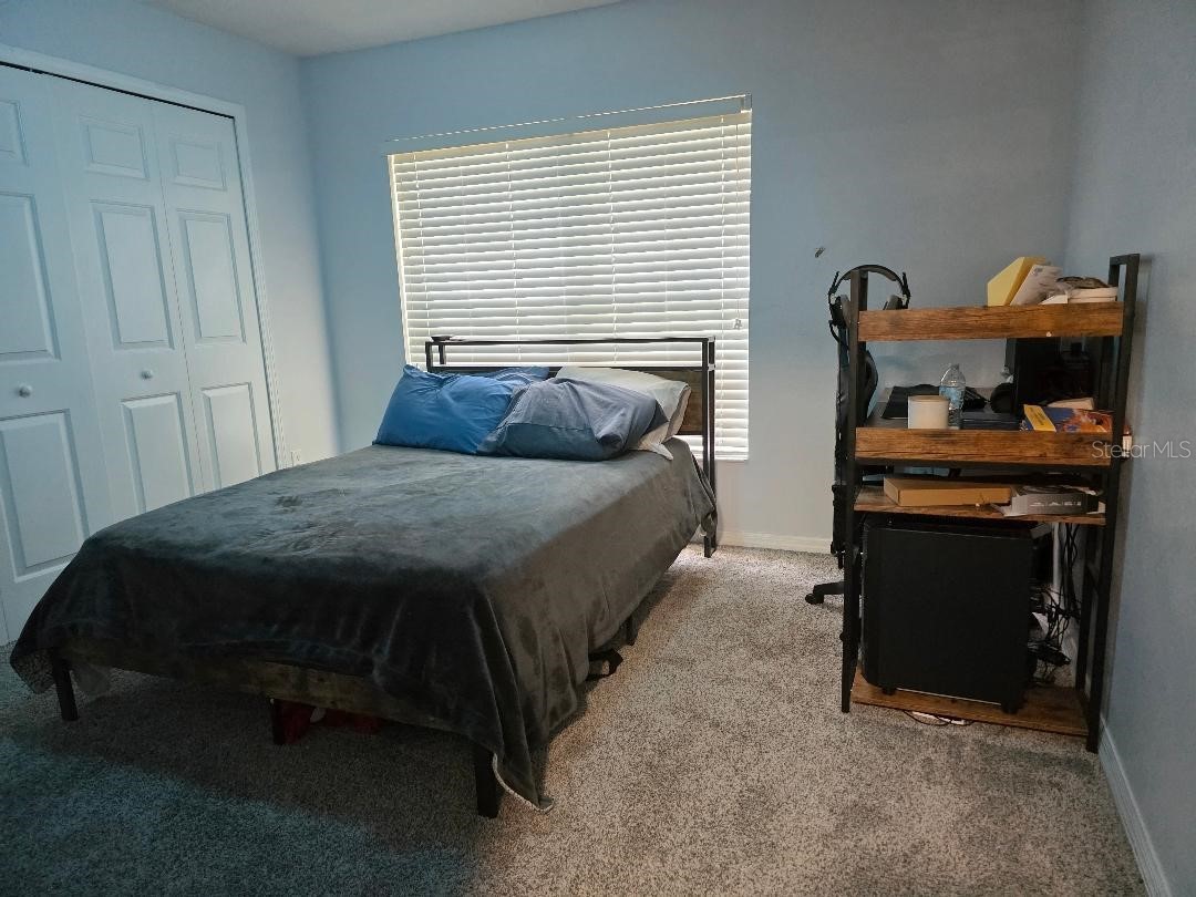 37613 Aaralyn Road Zephyrhills FL 33542 TB8505130 image11