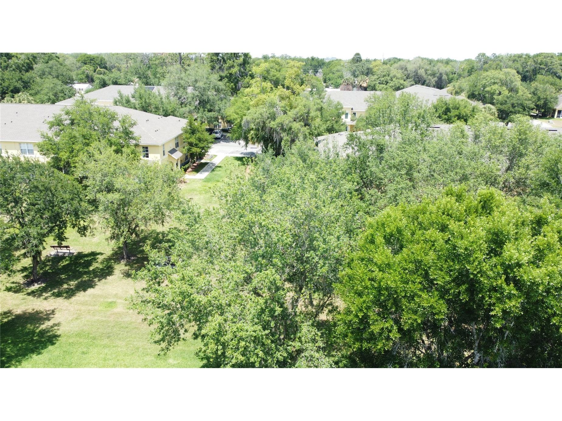 37613 Aaralyn Road Zephyrhills FL 33542 TB8505130 image15