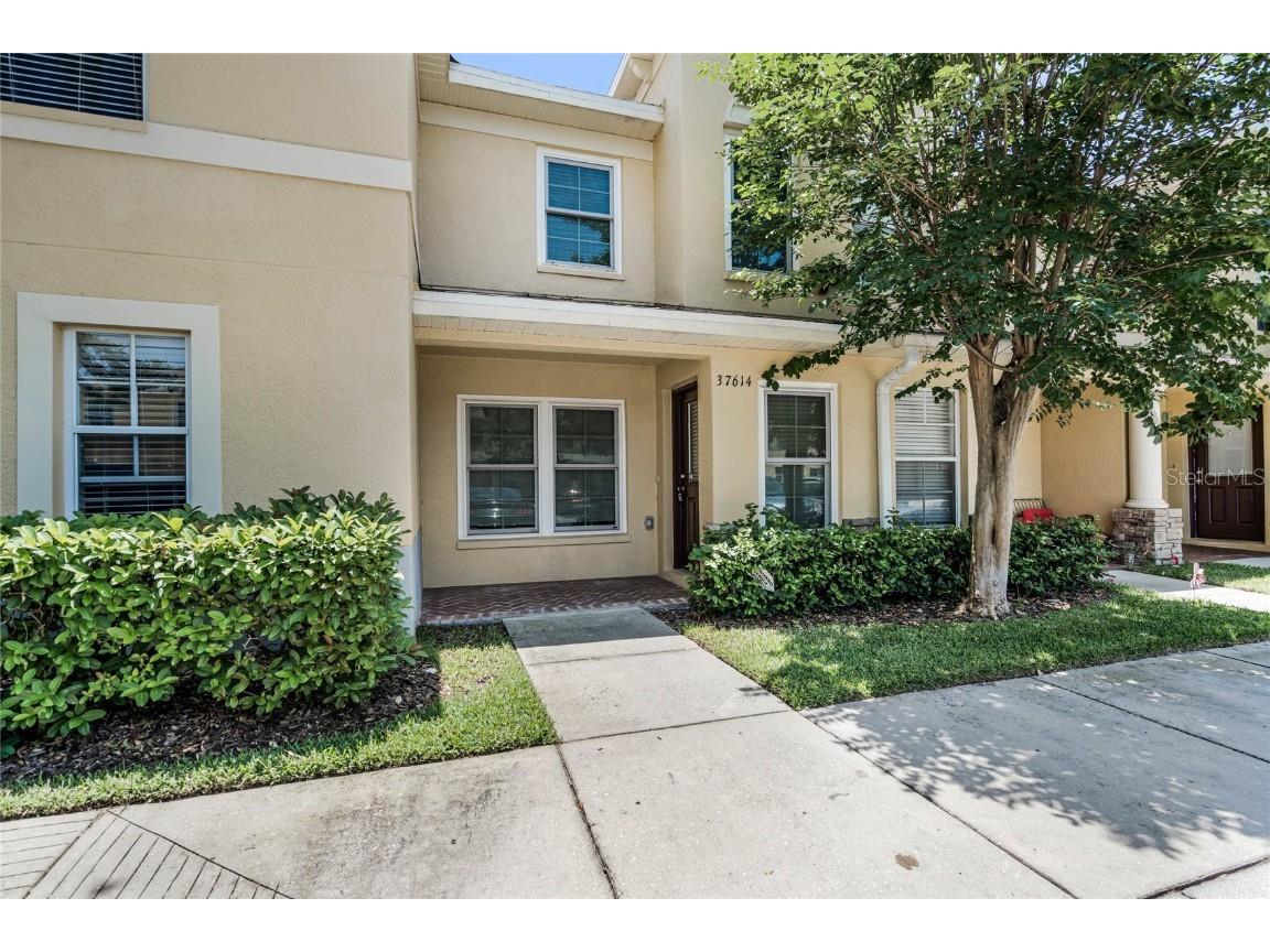 37614 Aaralyn Road Zephyrhills FL 33542 O6110701 image1