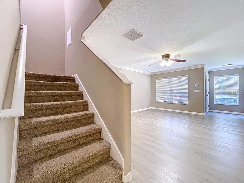 37615 Daliha Terrace Zephyrhills FL 33542 O6362117 image14