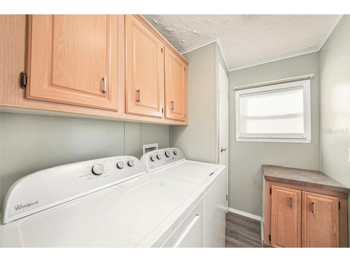 37617 Amigo Drive Zephyrhills FL 33541 TB8451533 image23