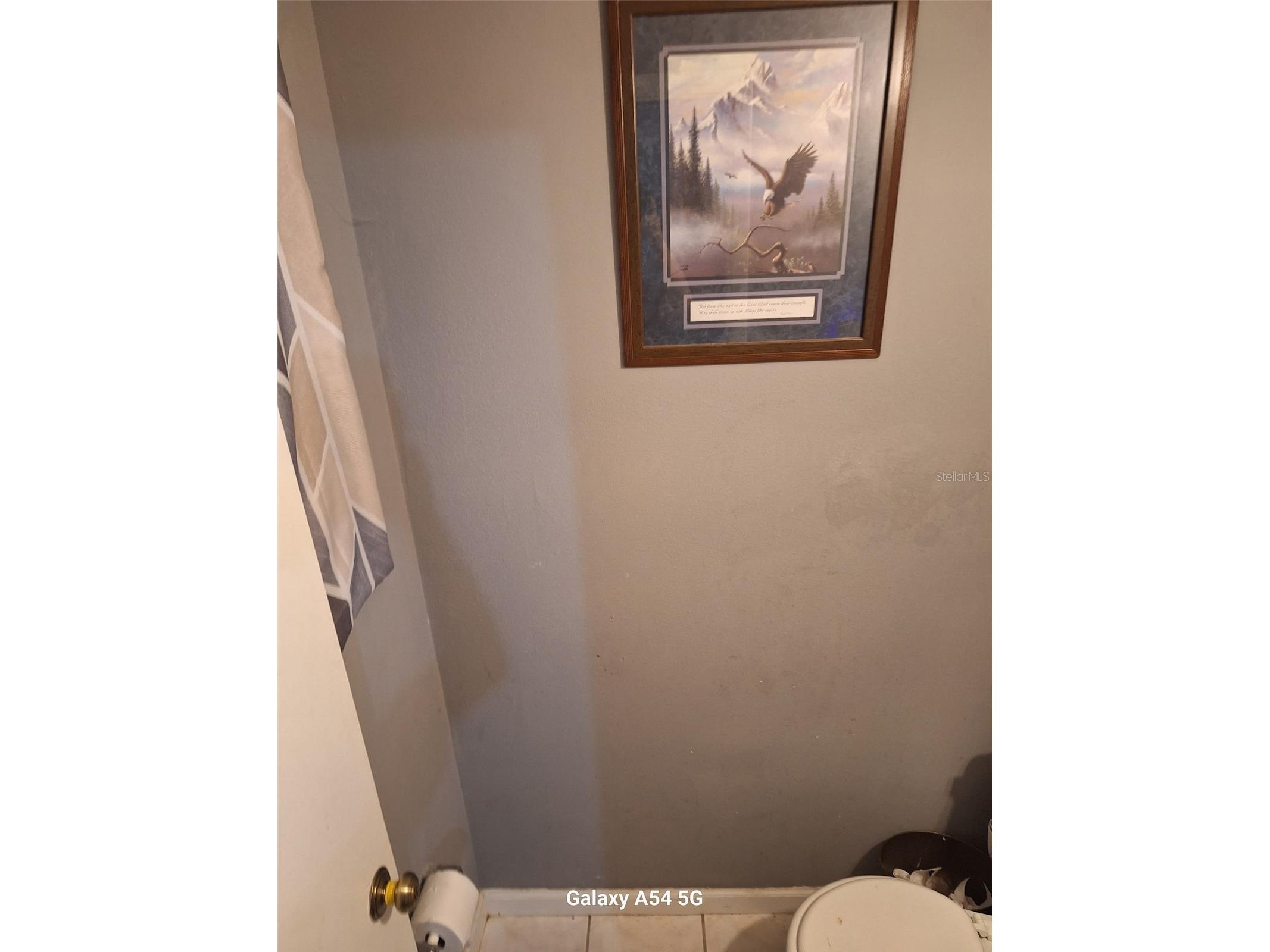 3762 SW 150th Loop Ocala FL 34473 O6374892 image12