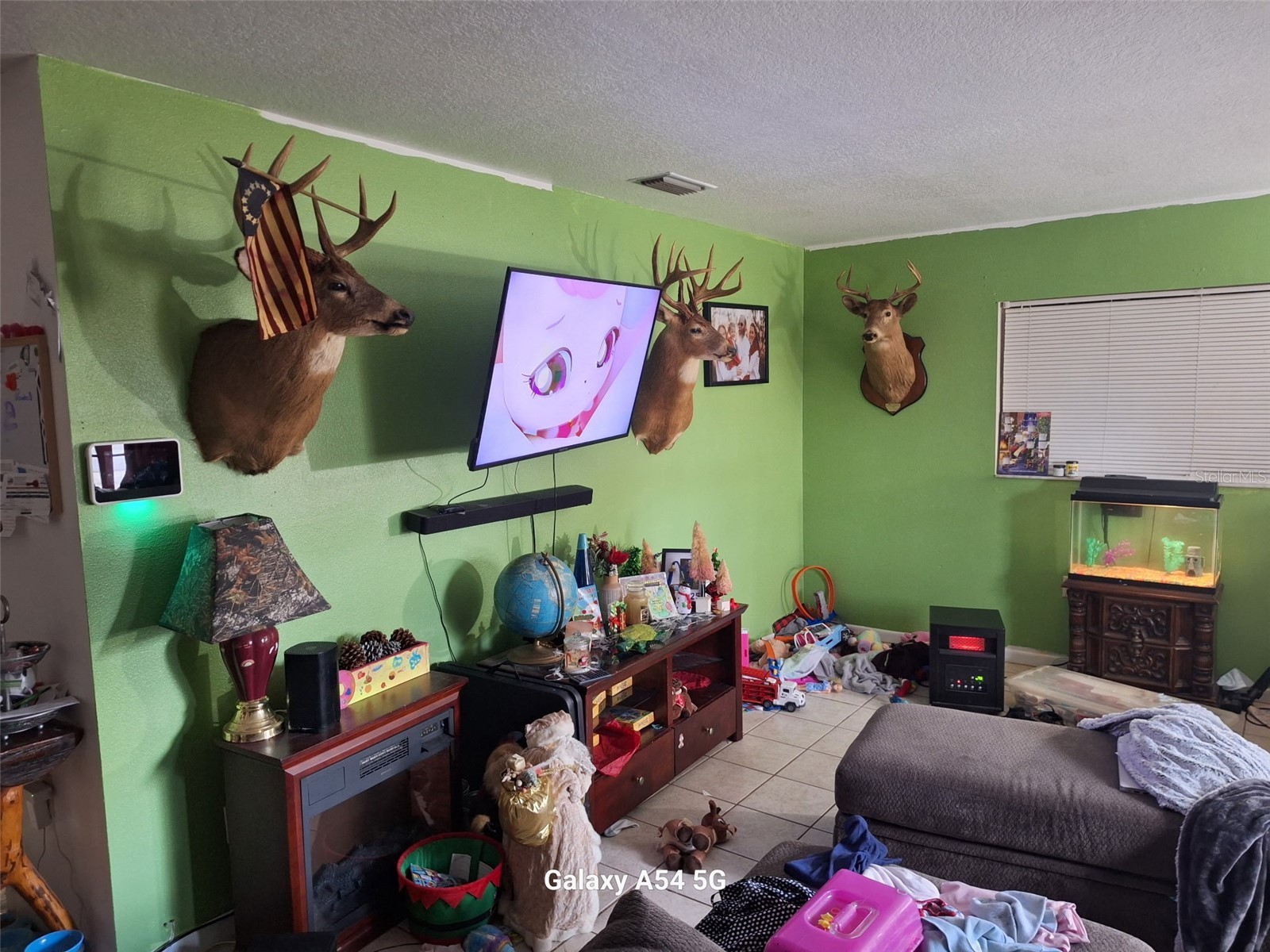 3762 SW 150th Loop Ocala FL 34473 O6374892 image13