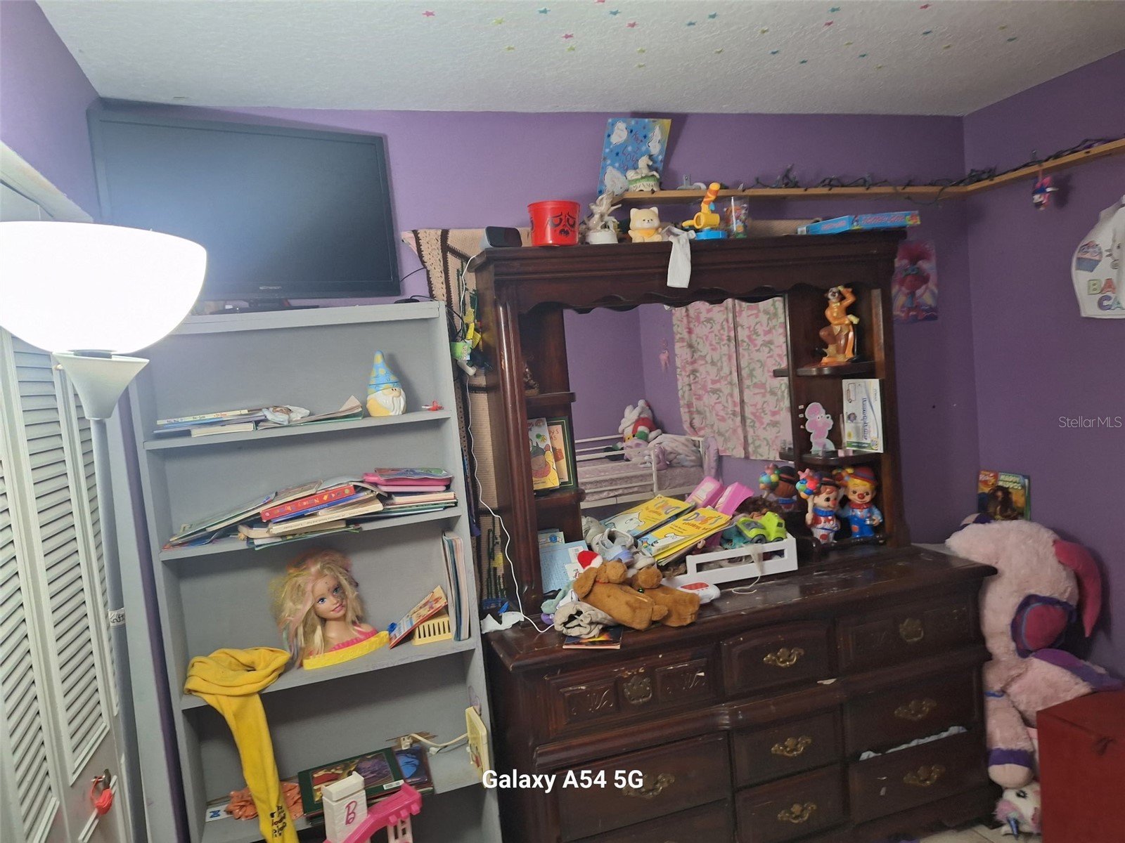 3762 SW 150th Loop Ocala FL 34473 O6374892 image14