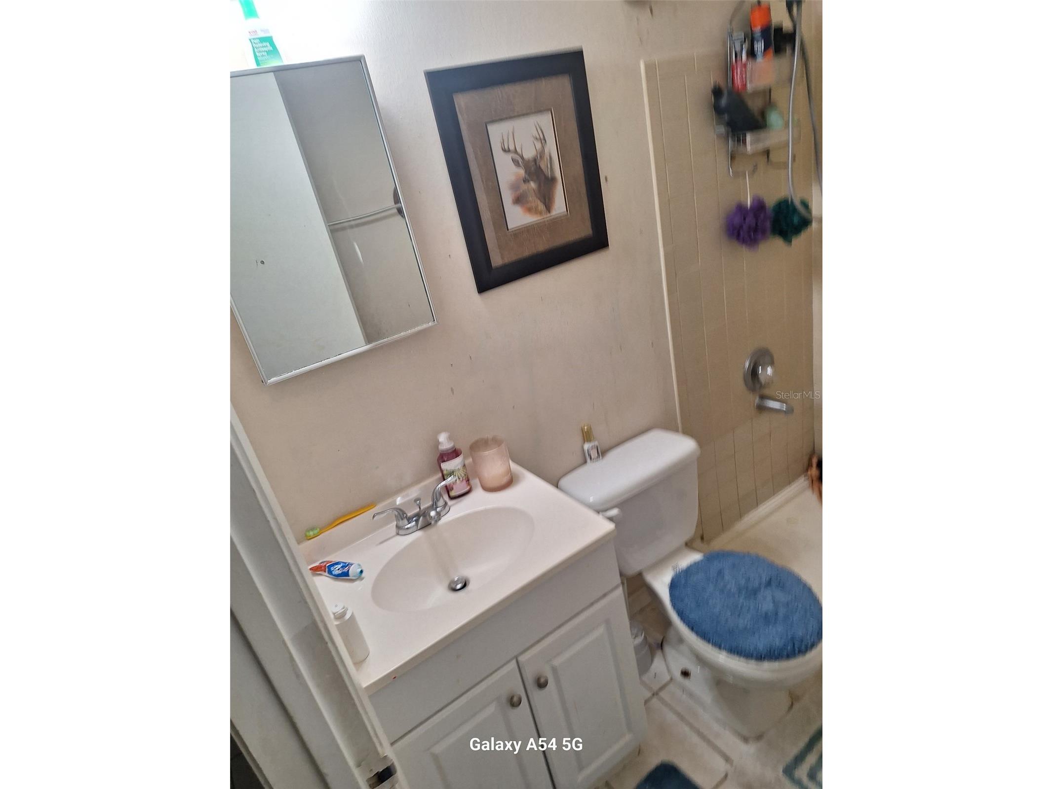 3762 SW 150th Loop Ocala FL 34473 O6374892 image8