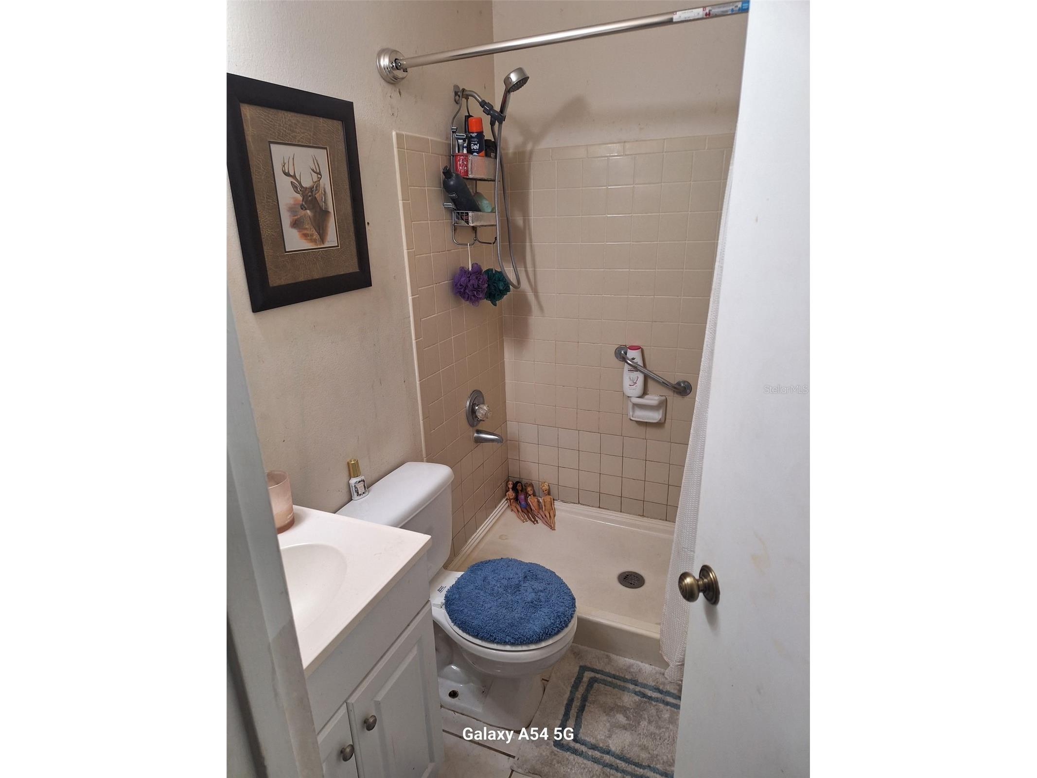 3762 SW 150th Loop Ocala FL 34473 O6374892 image9