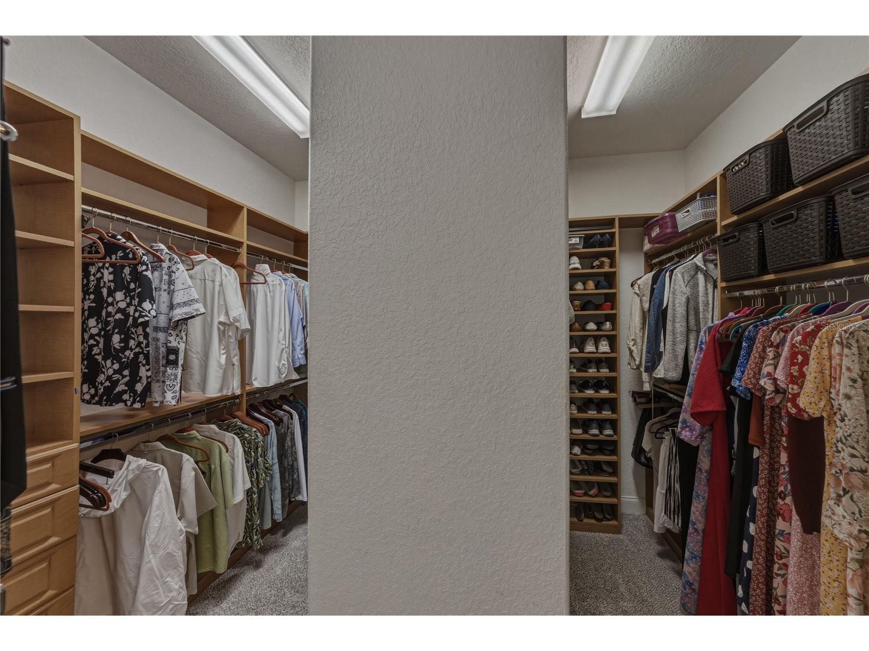 37624 Sky Ridge Circle Dade City FL 33525 TB8514797 image47