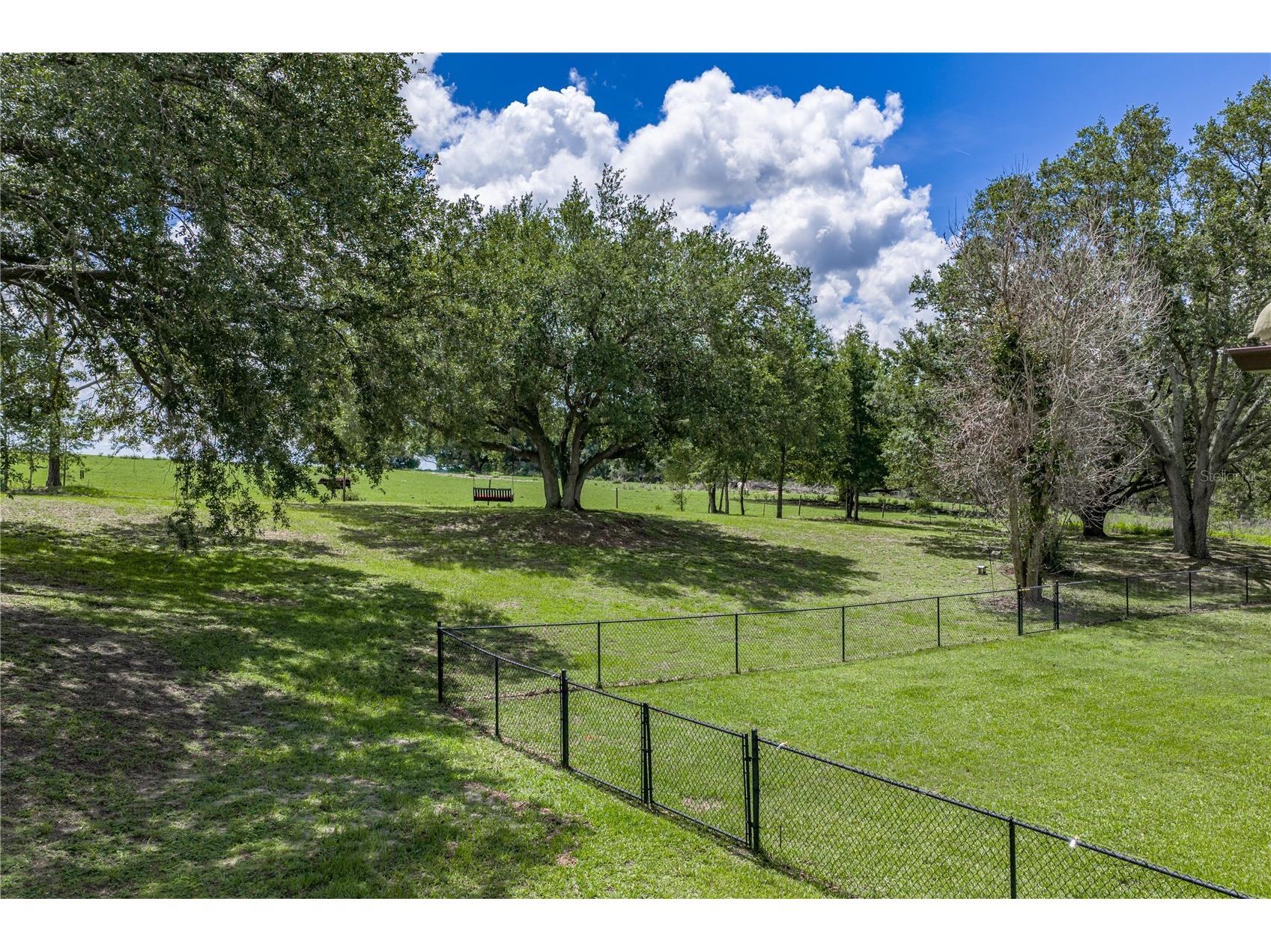 37624 Sky Ridge Circle Dade City FL 33525 TB8514797 image79