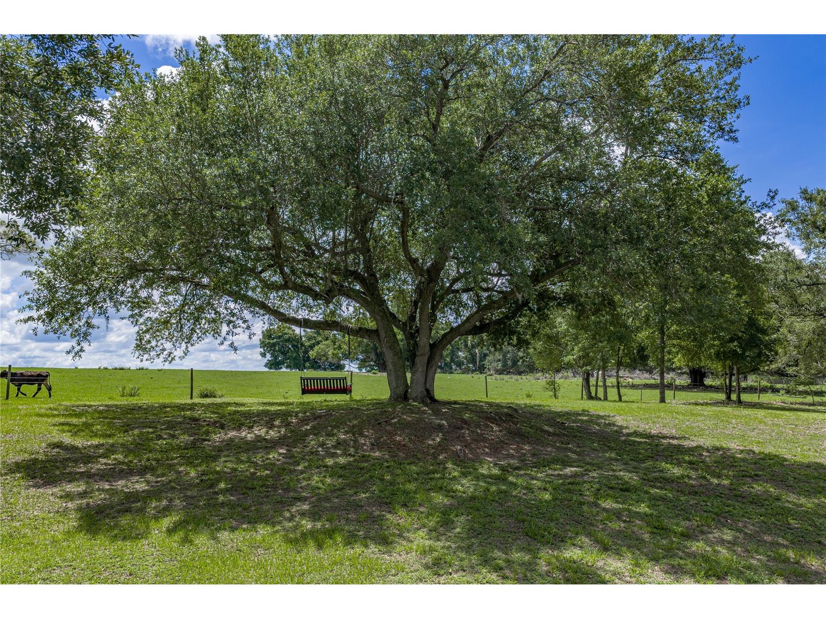 37624 Sky Ridge Circle Dade City FL 33525 TB8514797 image80