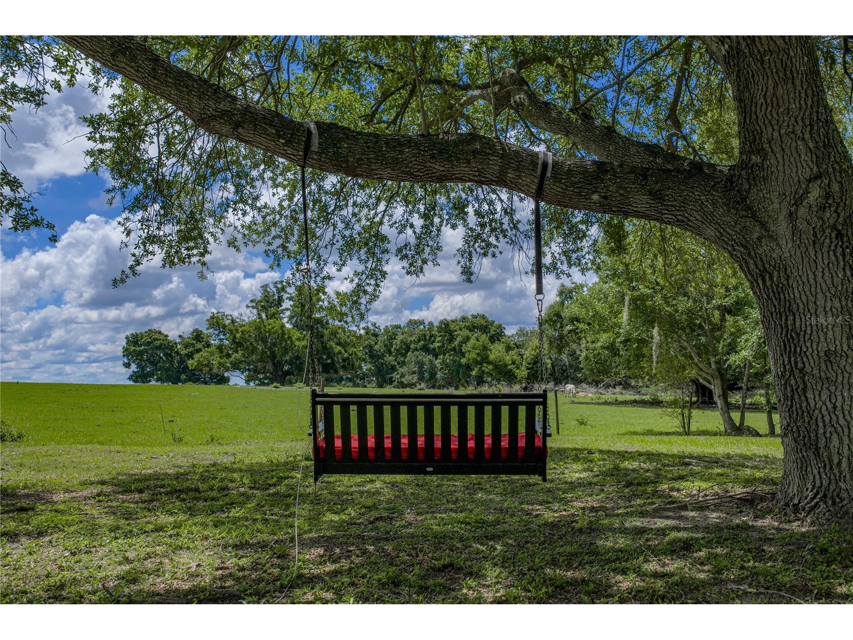 37624 Sky Ridge Circle Dade City FL 33525 TB8514797 image81