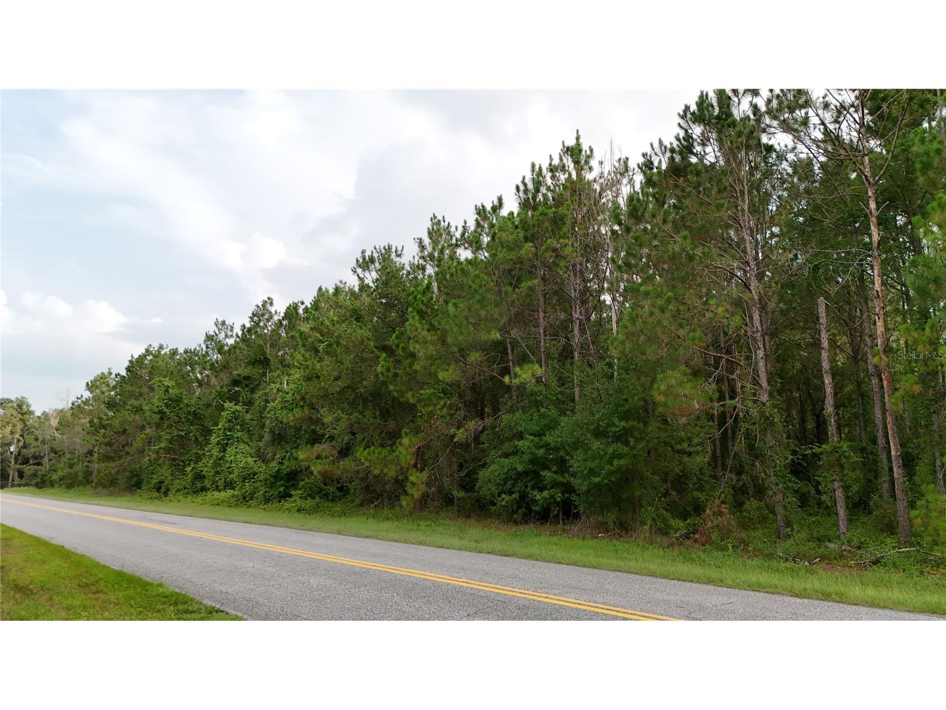 37625 N County Road 44a Eustis FL 32726 G5112805 image2