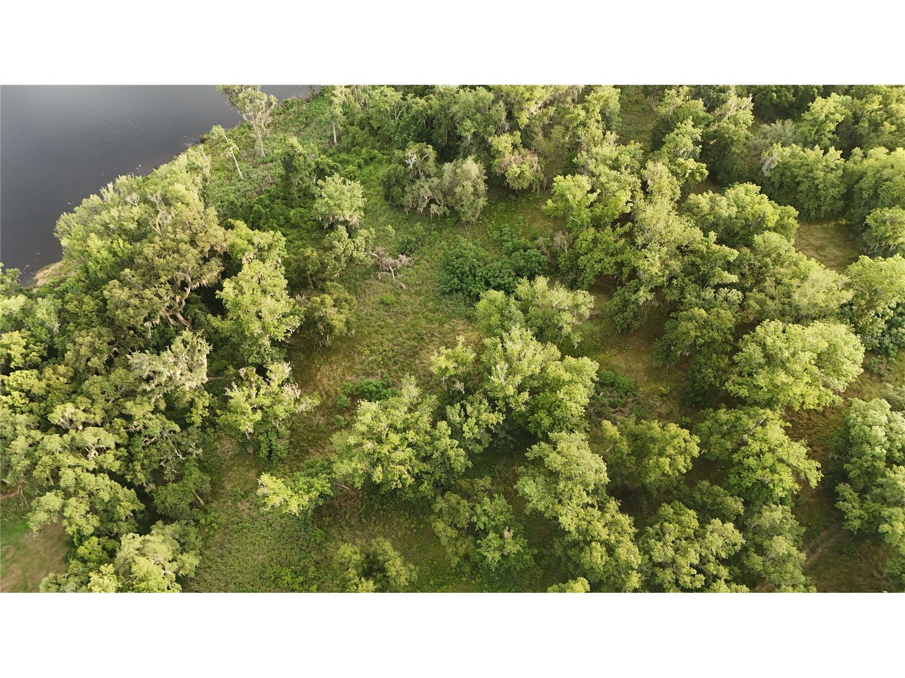 37625 N County Road 44a Eustis FL 32726 G5112805 image3