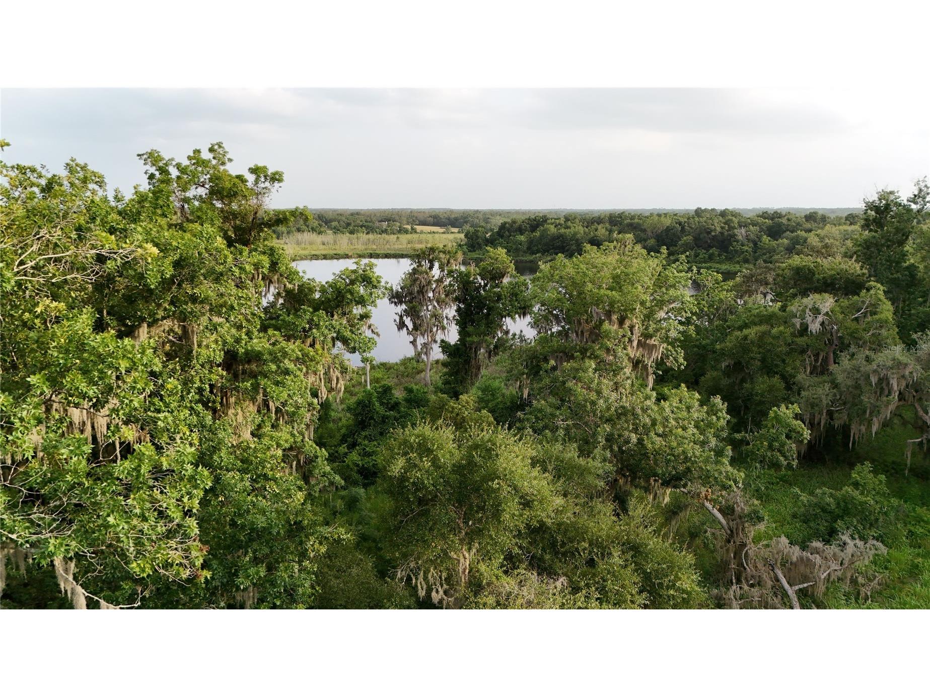 37625 N County Road 44a Eustis FL 32726 G5112805 image4