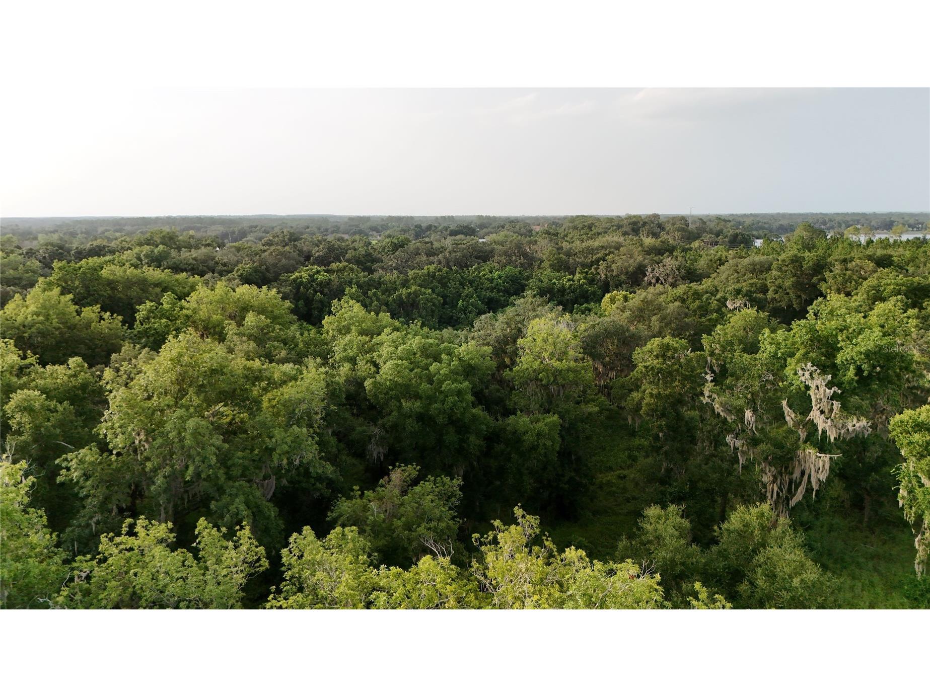 37625 N County Road 44a Eustis FL 32726 G5112805 image5