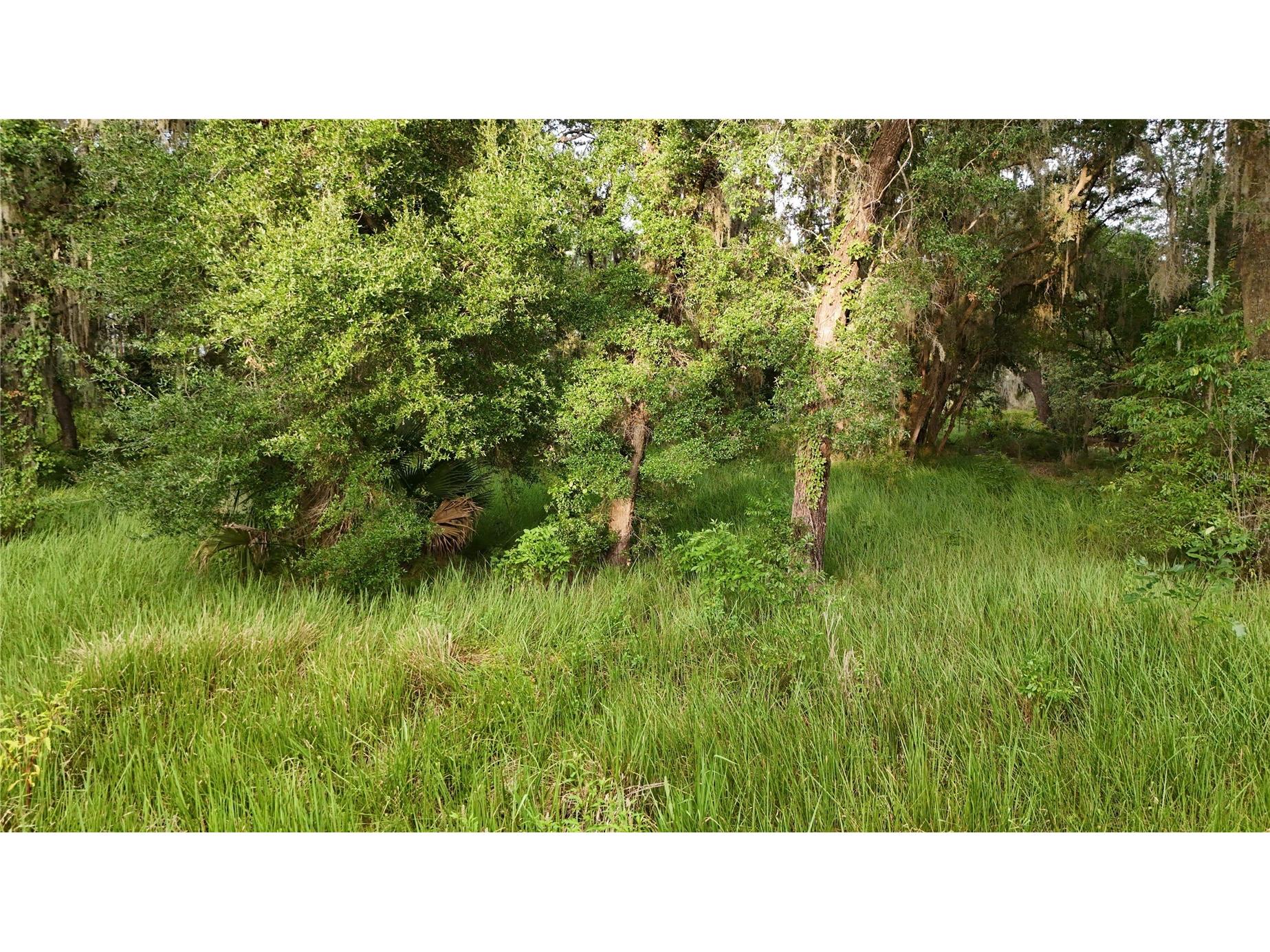 37625 N County Road 44a Eustis FL 32726 G5112805 image6