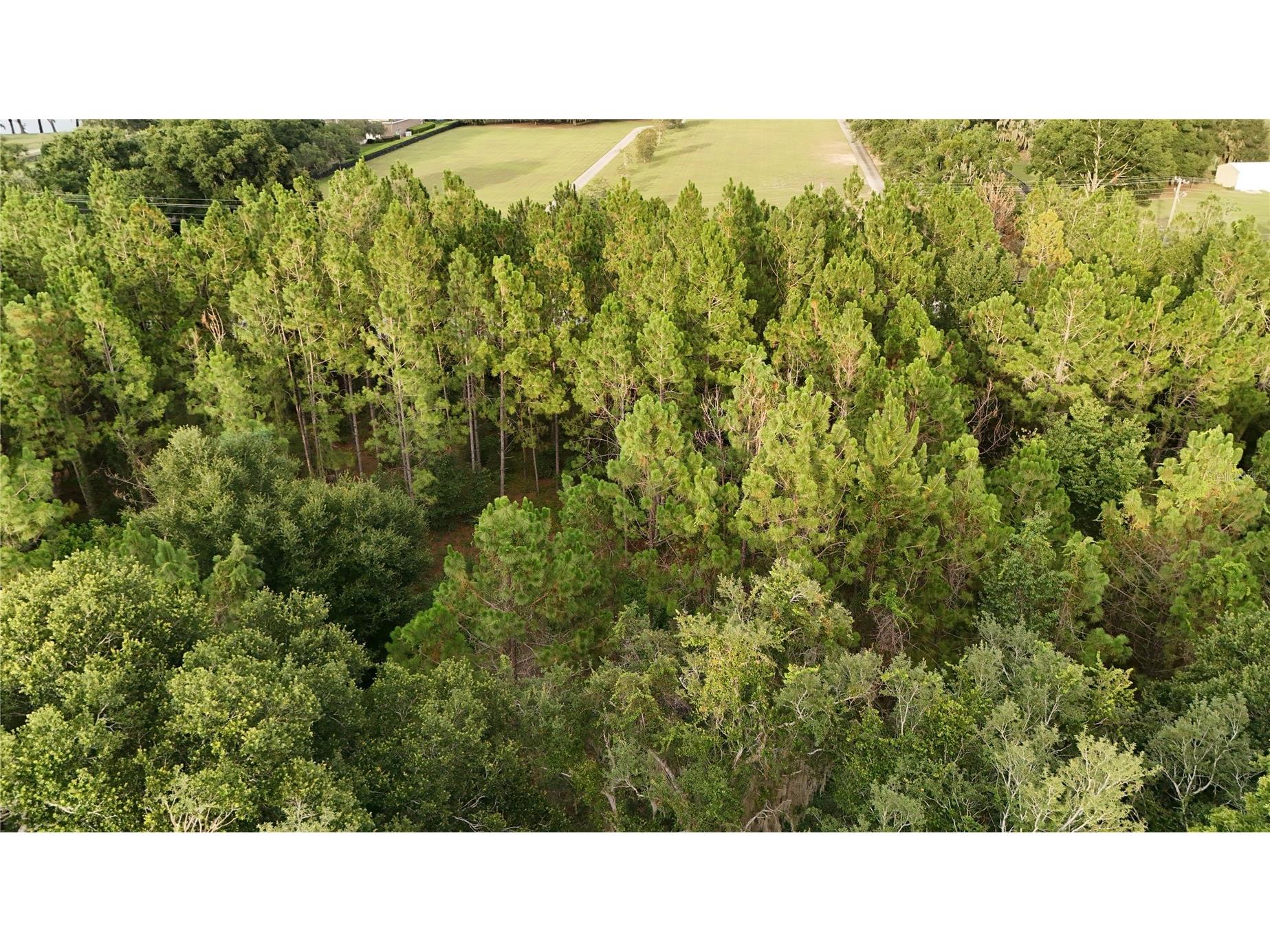 37625 N County Road 44a Eustis FL 32726 G5112805 image7