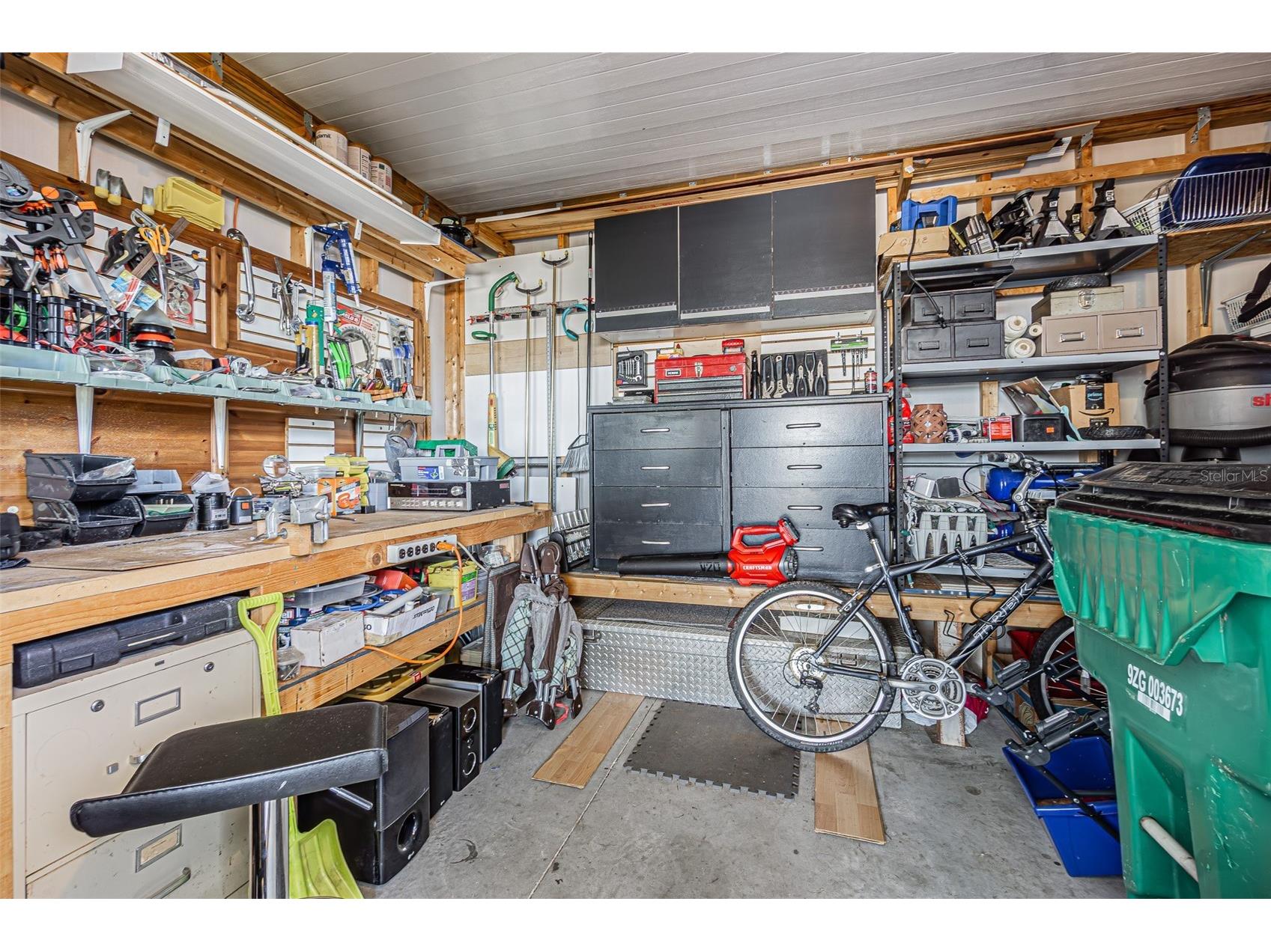 37627 Lorena Avenue Zephyrhills FL 33541 TB8497011 image32